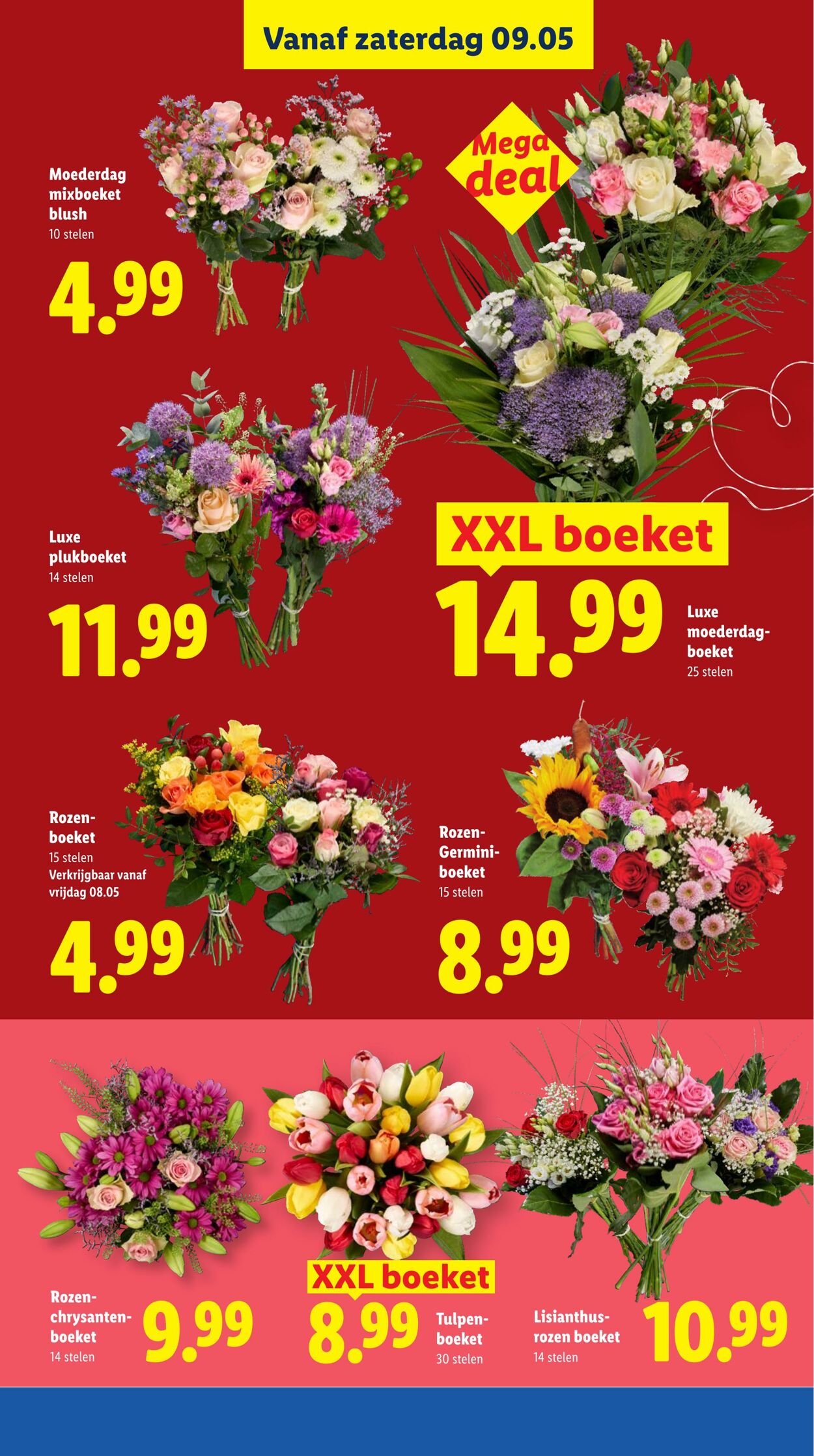 Folder Lidl 04.05.2026 - 10.05.2026