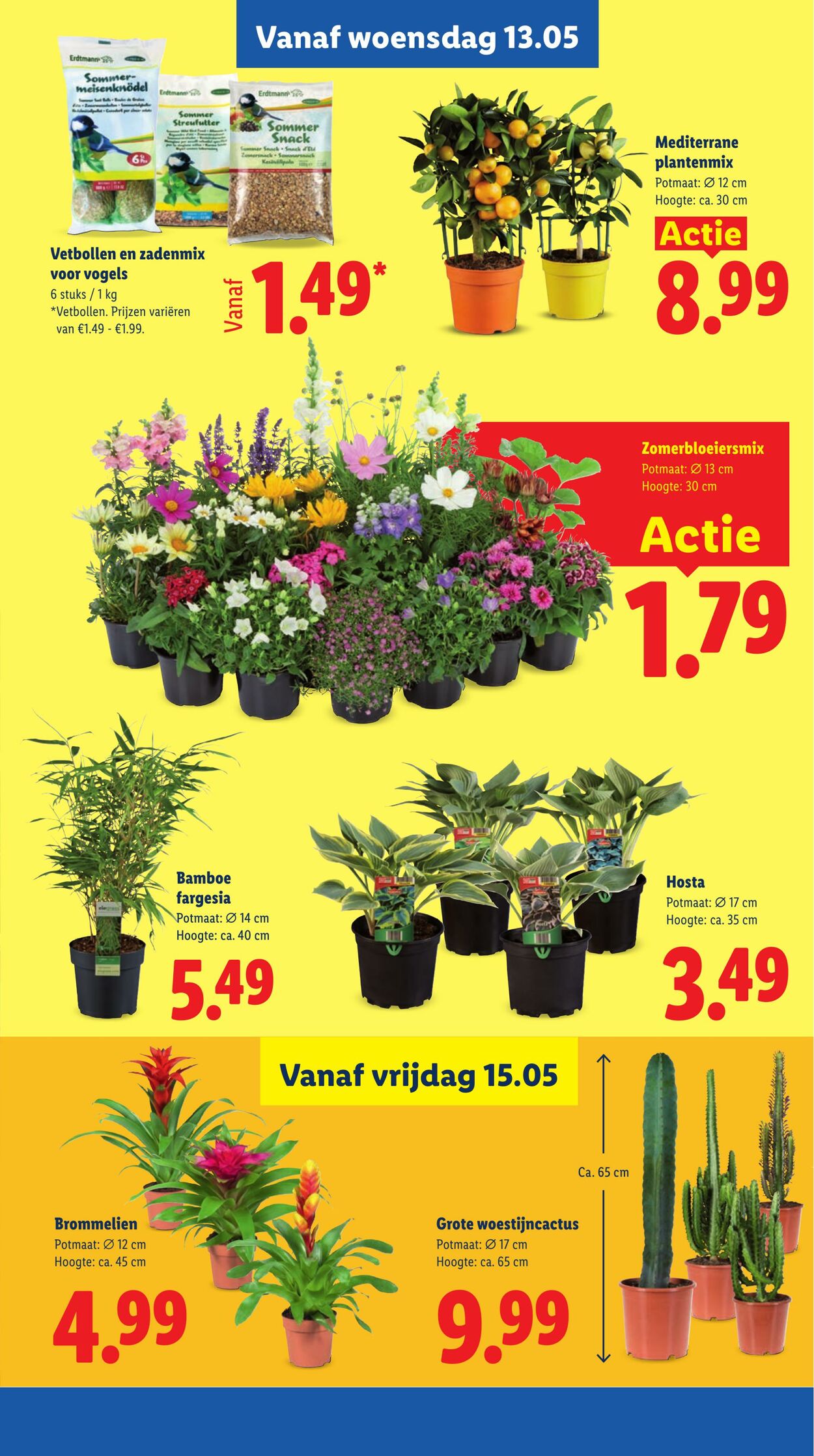 Folder Lidl 11.05.2026 - 17.05.2026