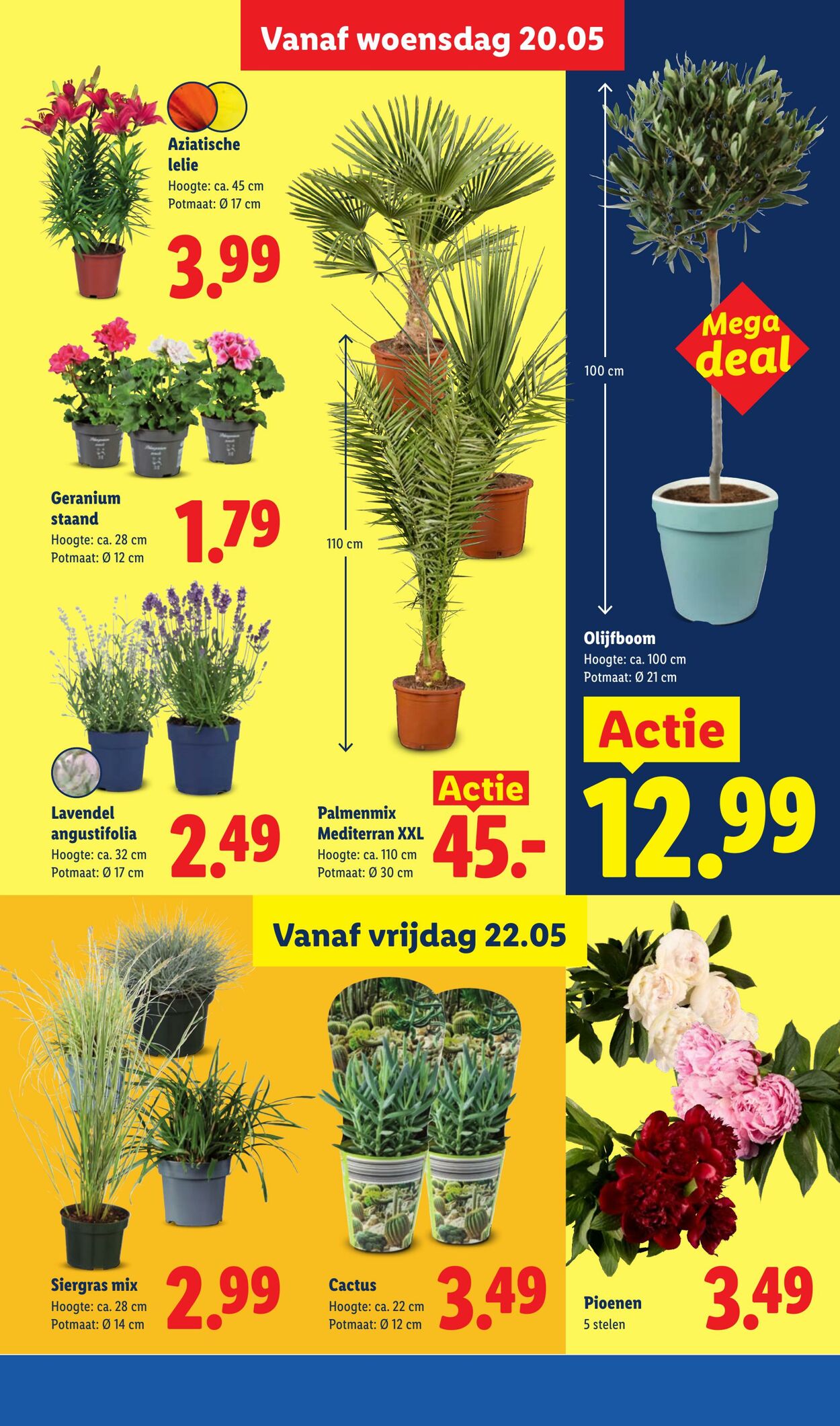 Folder Lidl 18.05.2026 - 24.05.2026