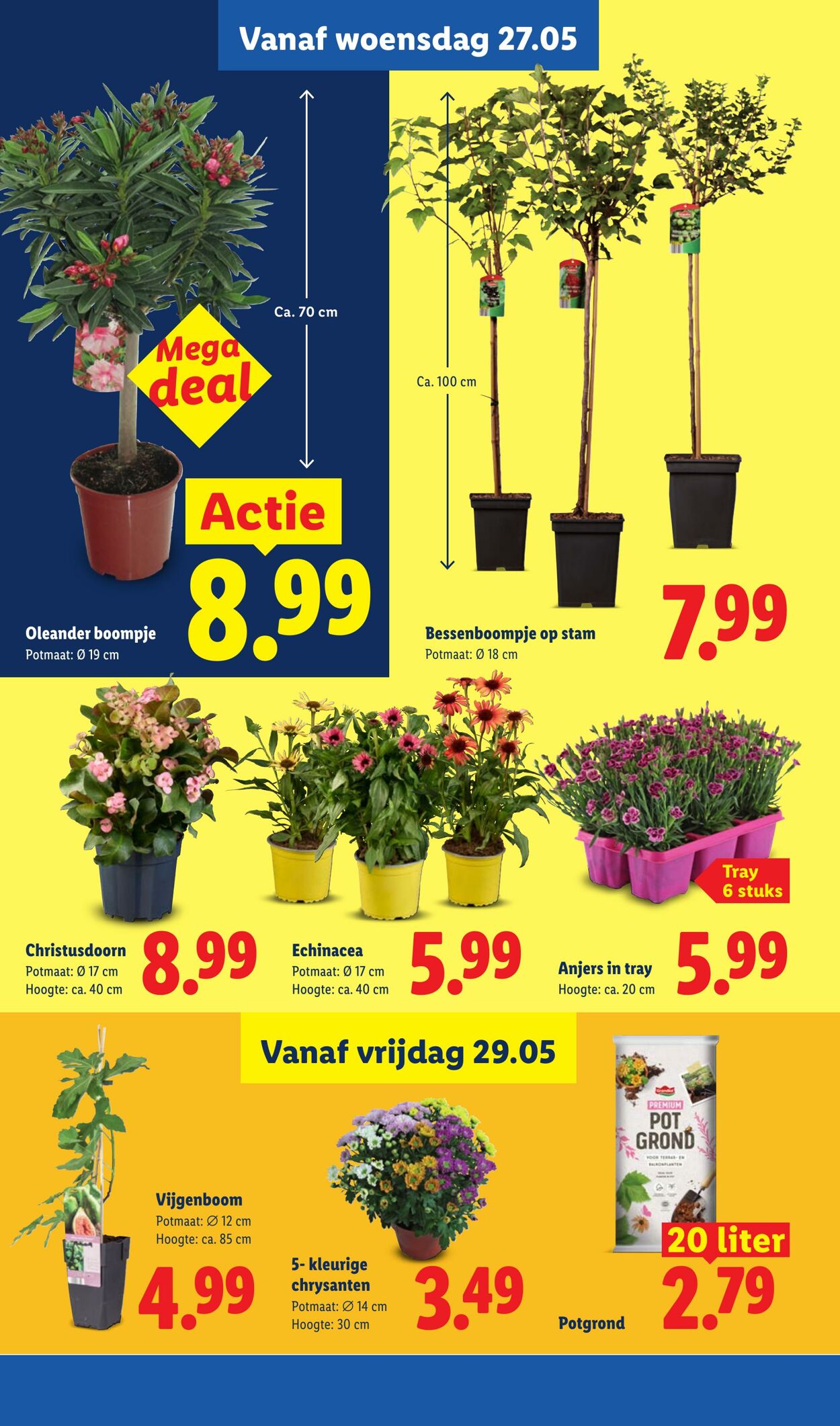 Folder Lidl 25.05.2026 - 31.05.2026