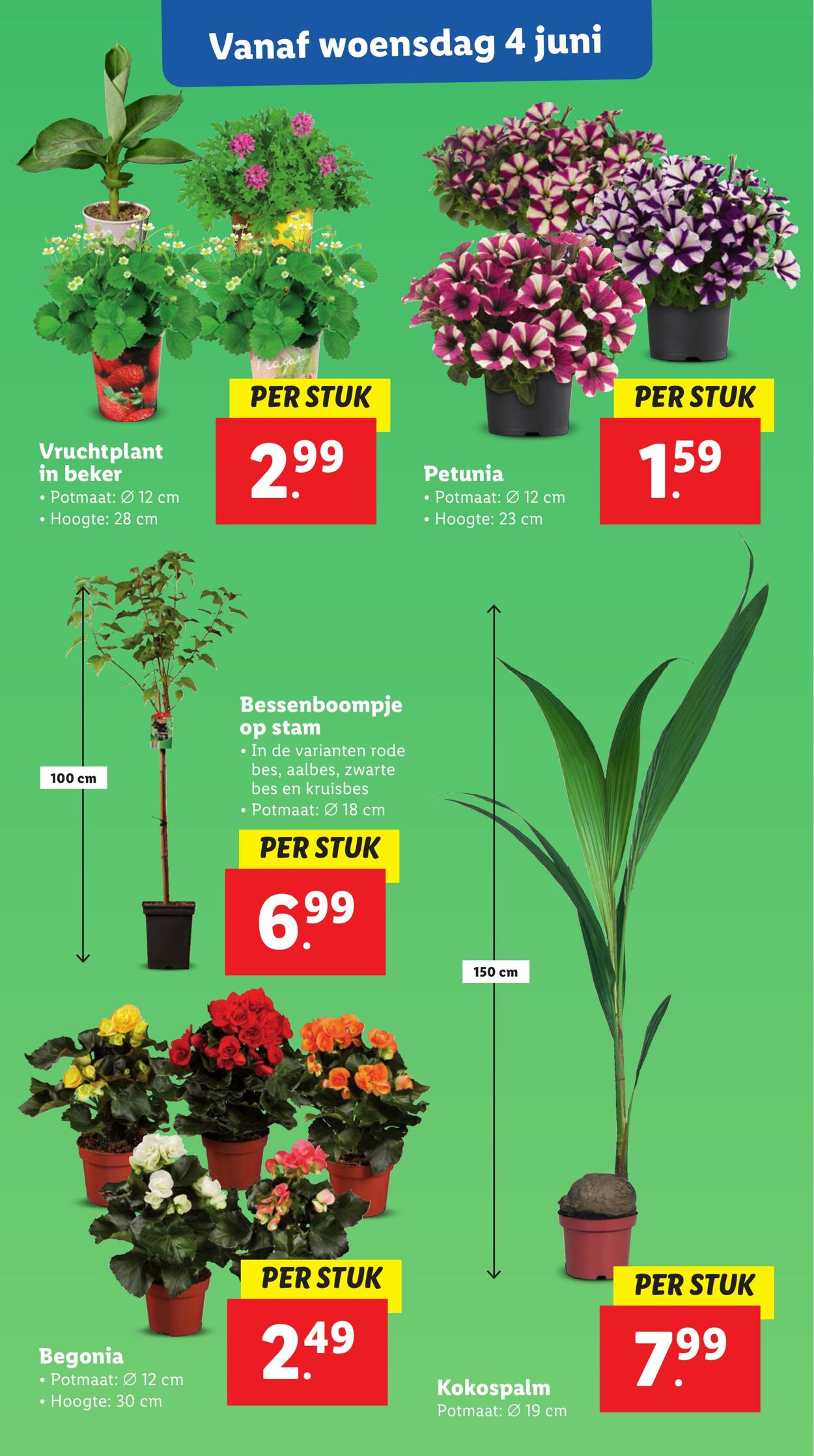 Folder Lidl 02.06.2025 - 08.06.2025