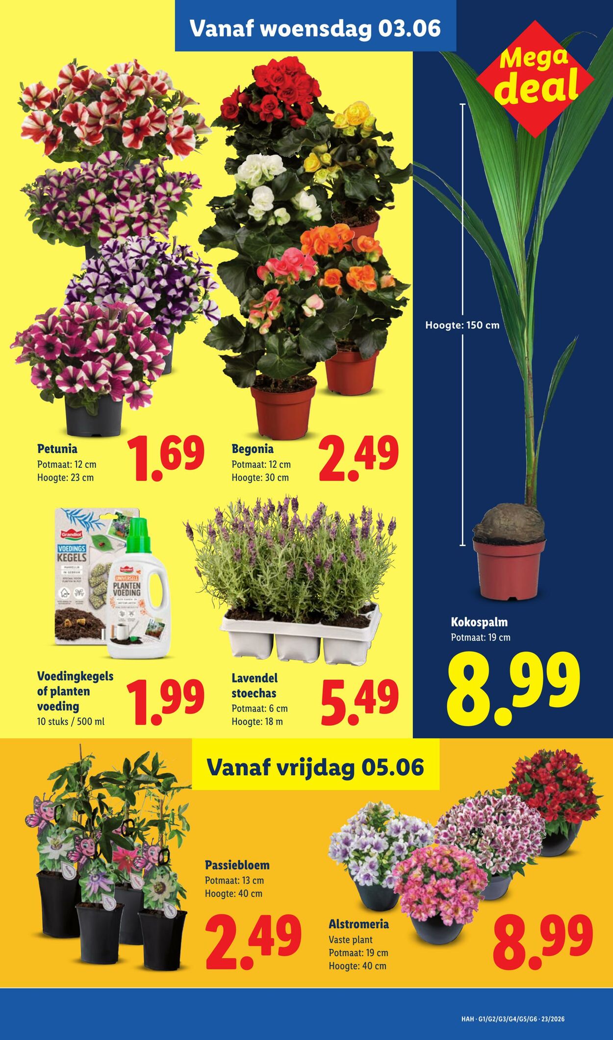 Folder Lidl 01.06.2026 - 07.06.2026