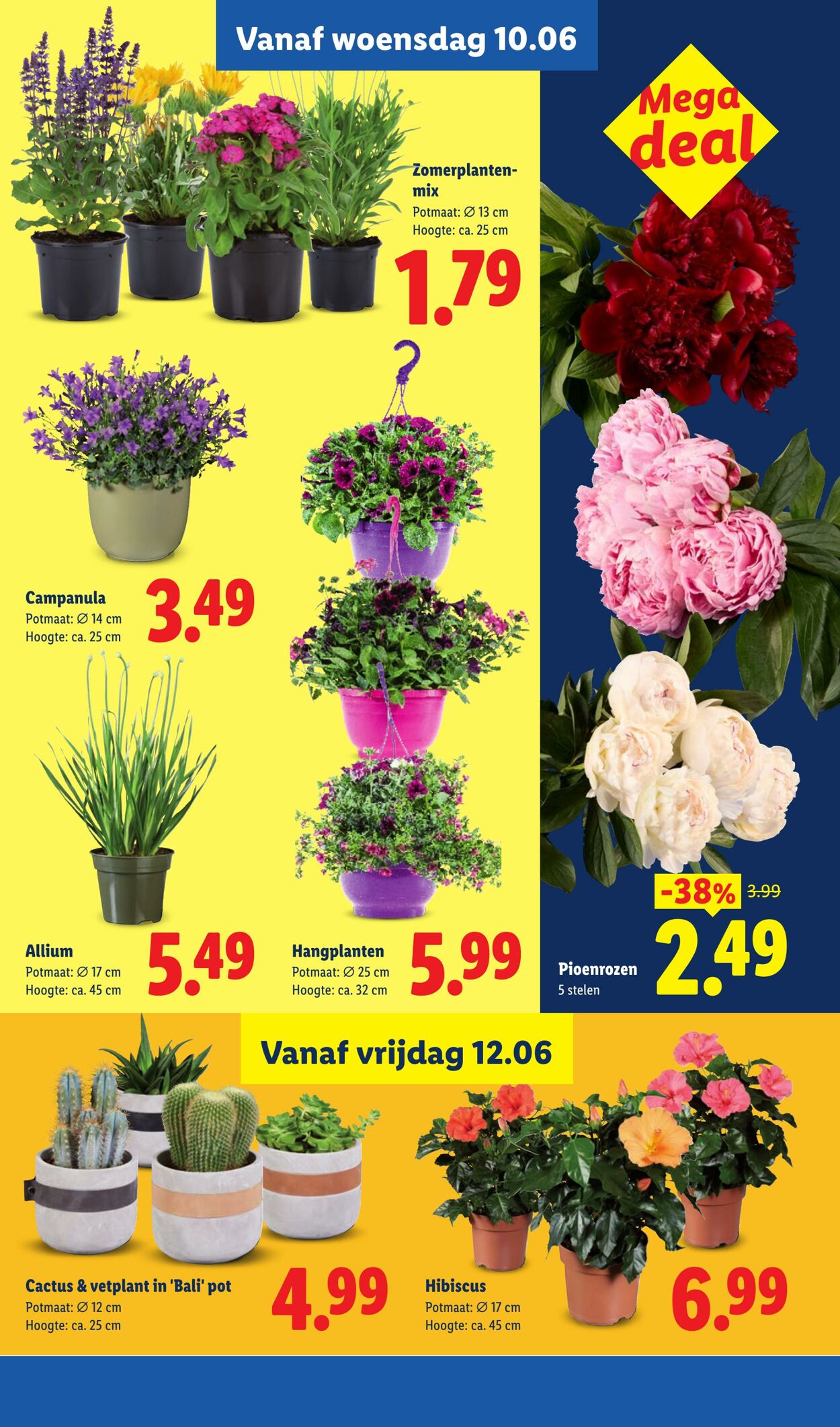 Folder Lidl 08.06.2026 - 14.06.2026