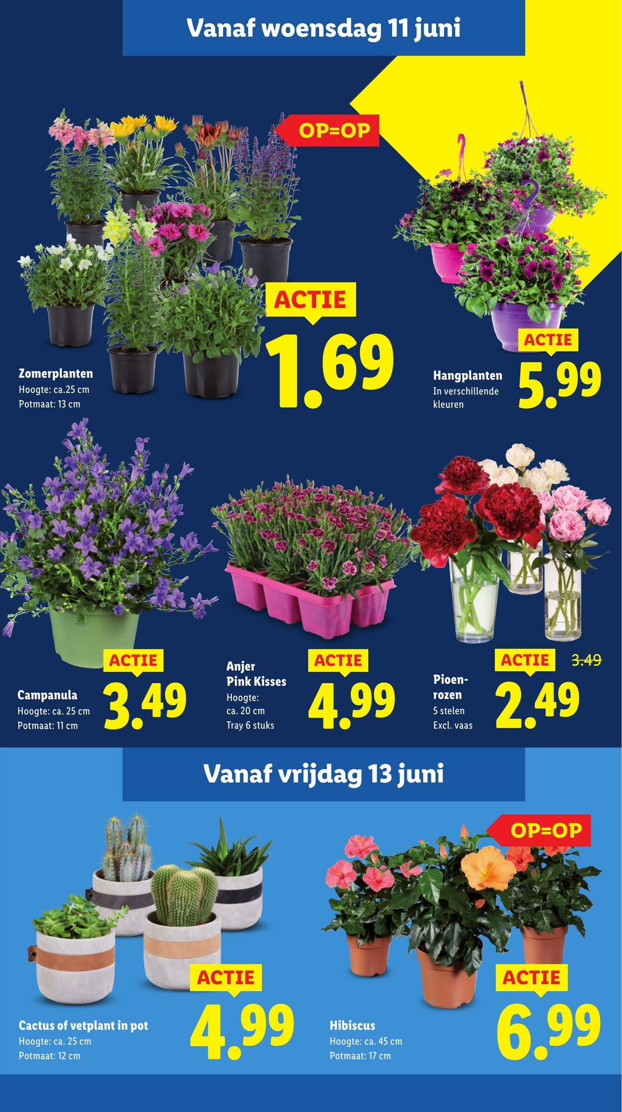 Folder Lidl 09.06.2025 - 15.06.2025