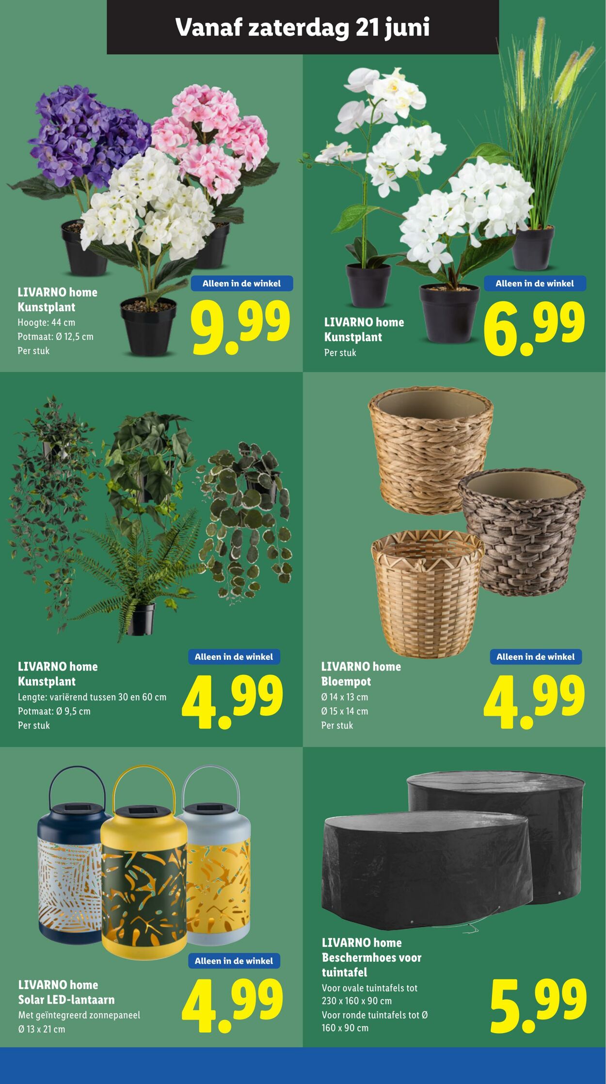 Folder Lidl 16.06.2025 - 22.06.2025
