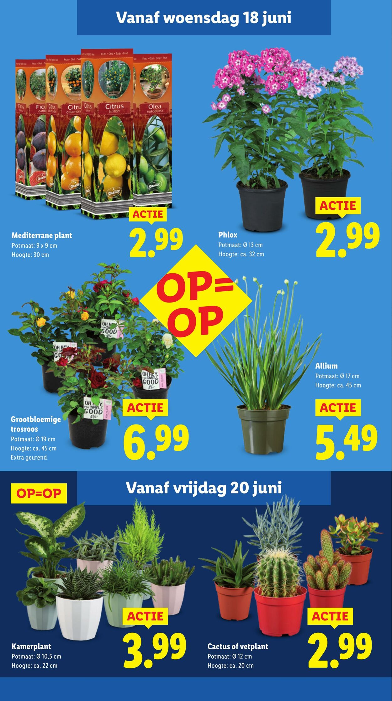 Folder Lidl 16.06.2025 - 22.06.2025