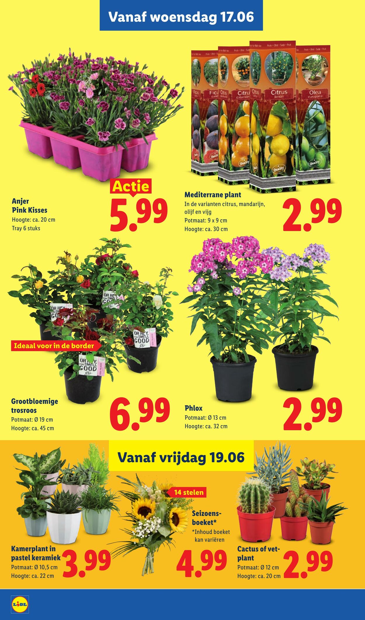 Folder Lidl 15.06.2026 - 21.06.2026