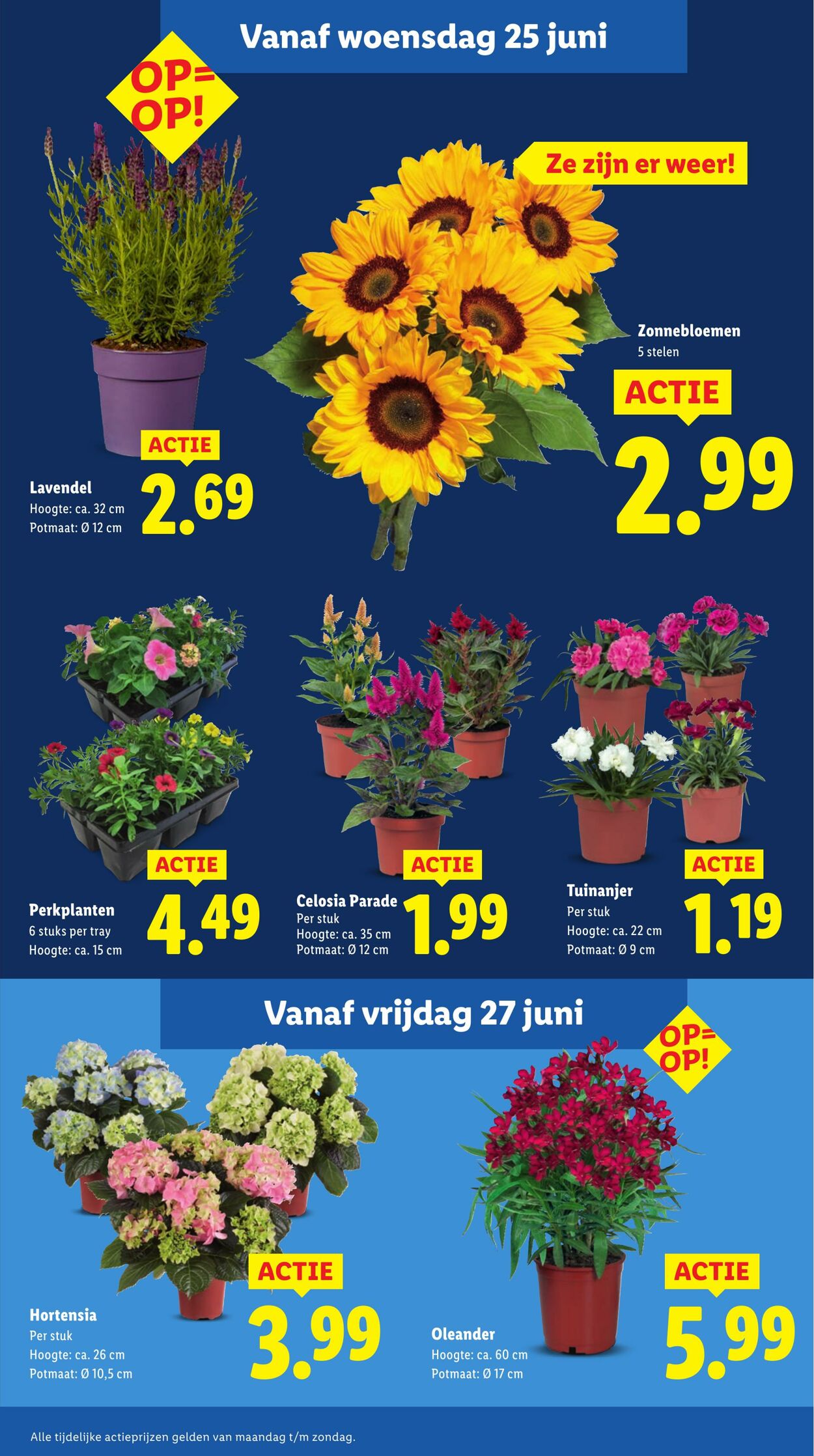 Folder Lidl 23.06.2025 - 29.06.2025