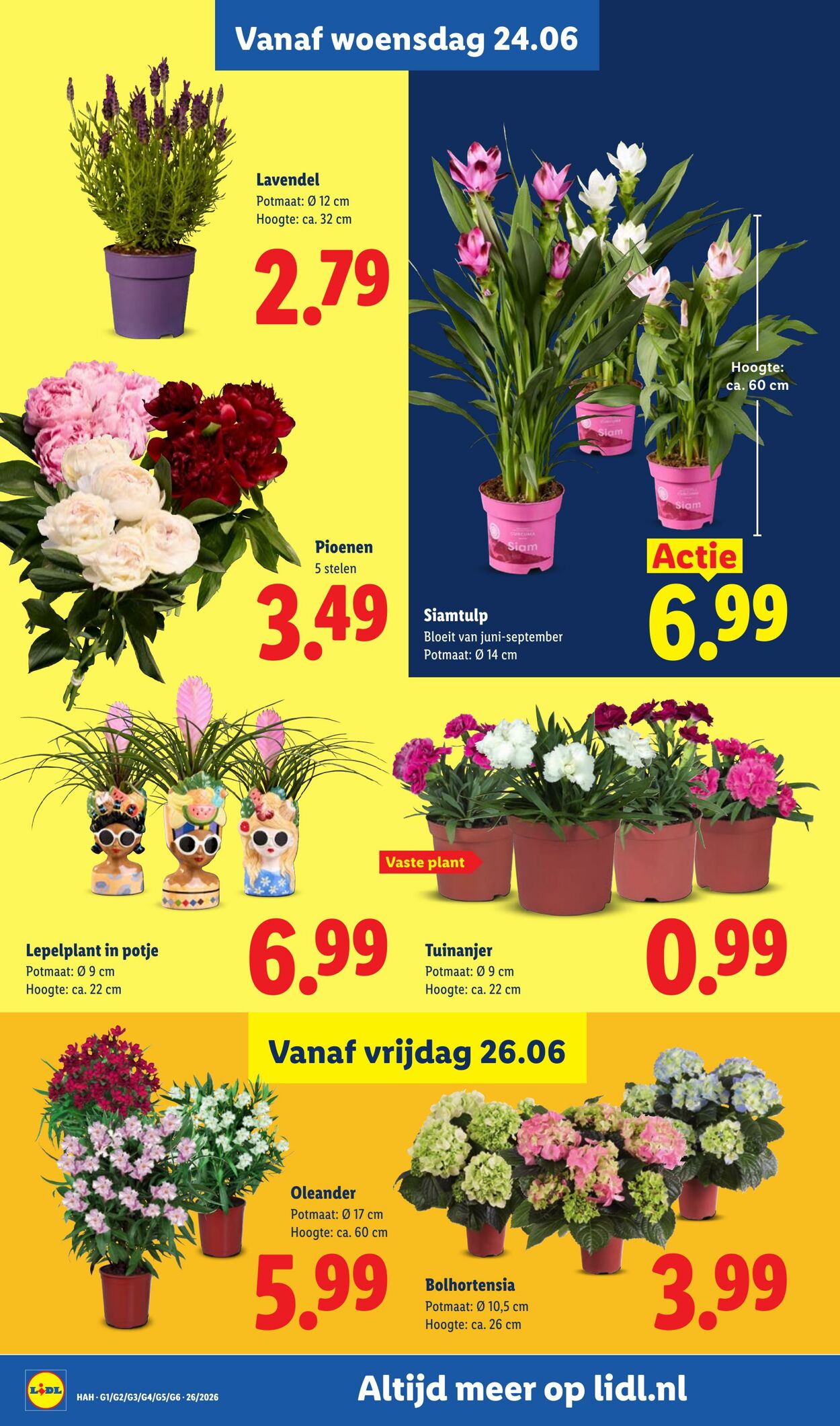 Folder Lidl 22.06.2026 - 28.06.2026