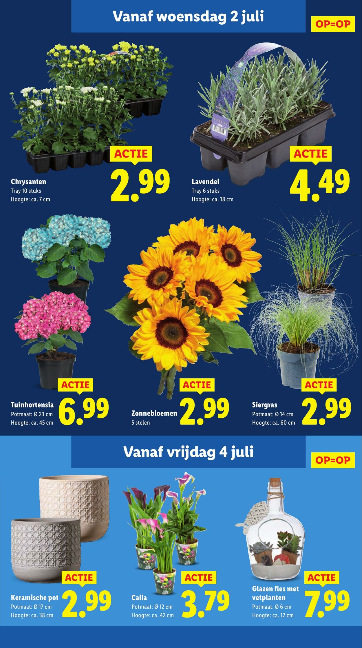 Folder Lidl 30.06.2025 - 06.07.2025