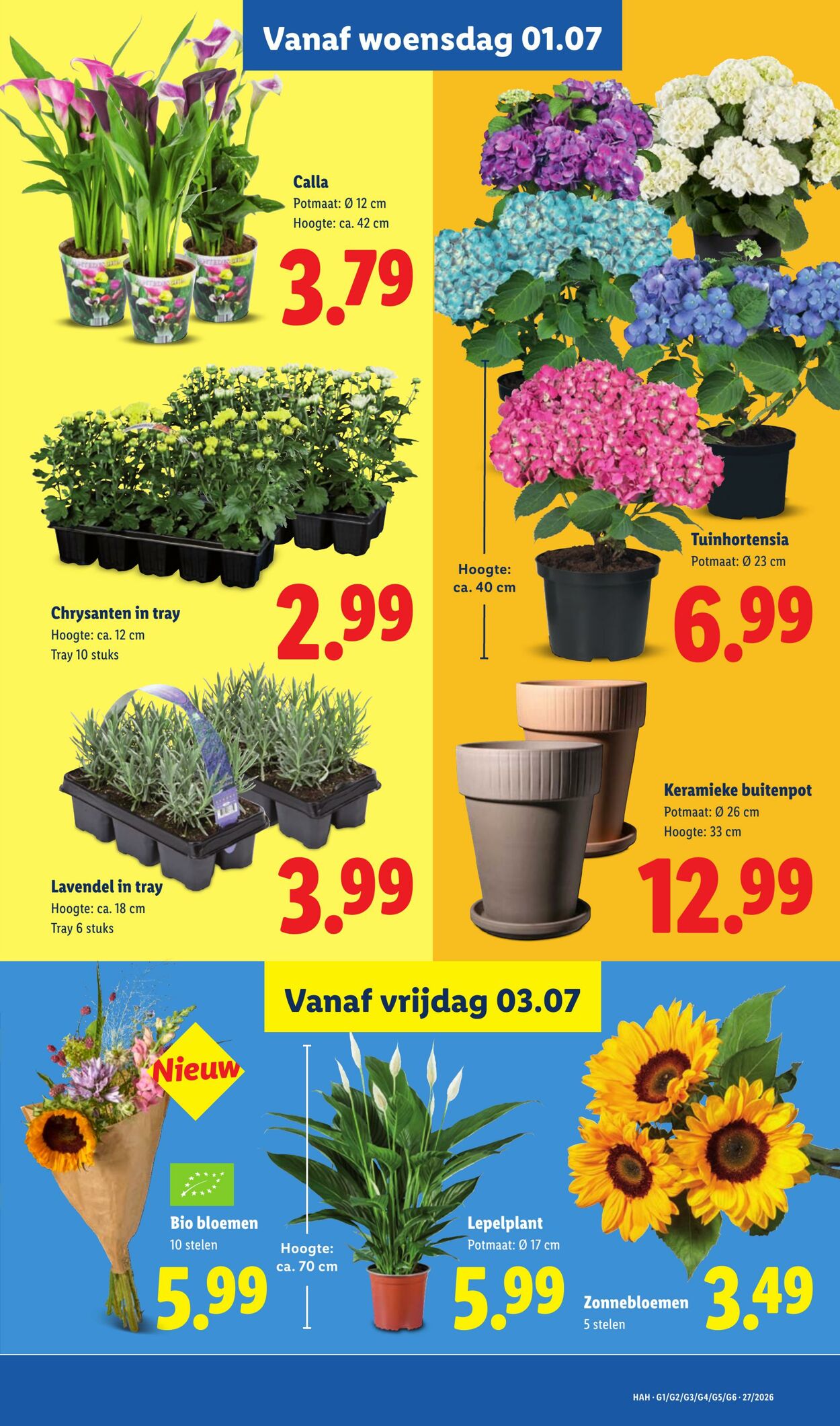 Folder Lidl 29.06.2026 - 05.07.2026