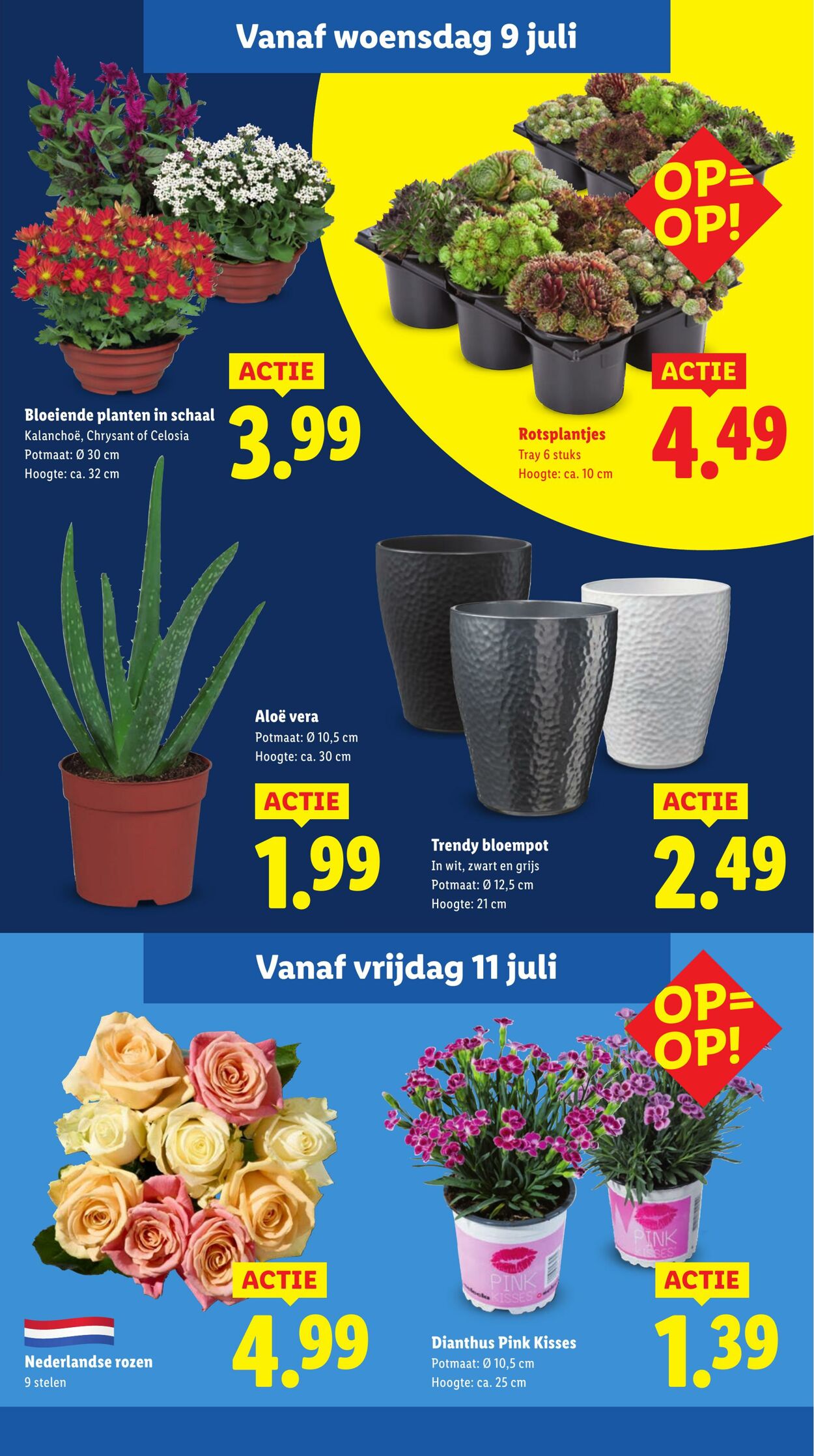 Folder Lidl 07.07.2025 - 13.07.2025