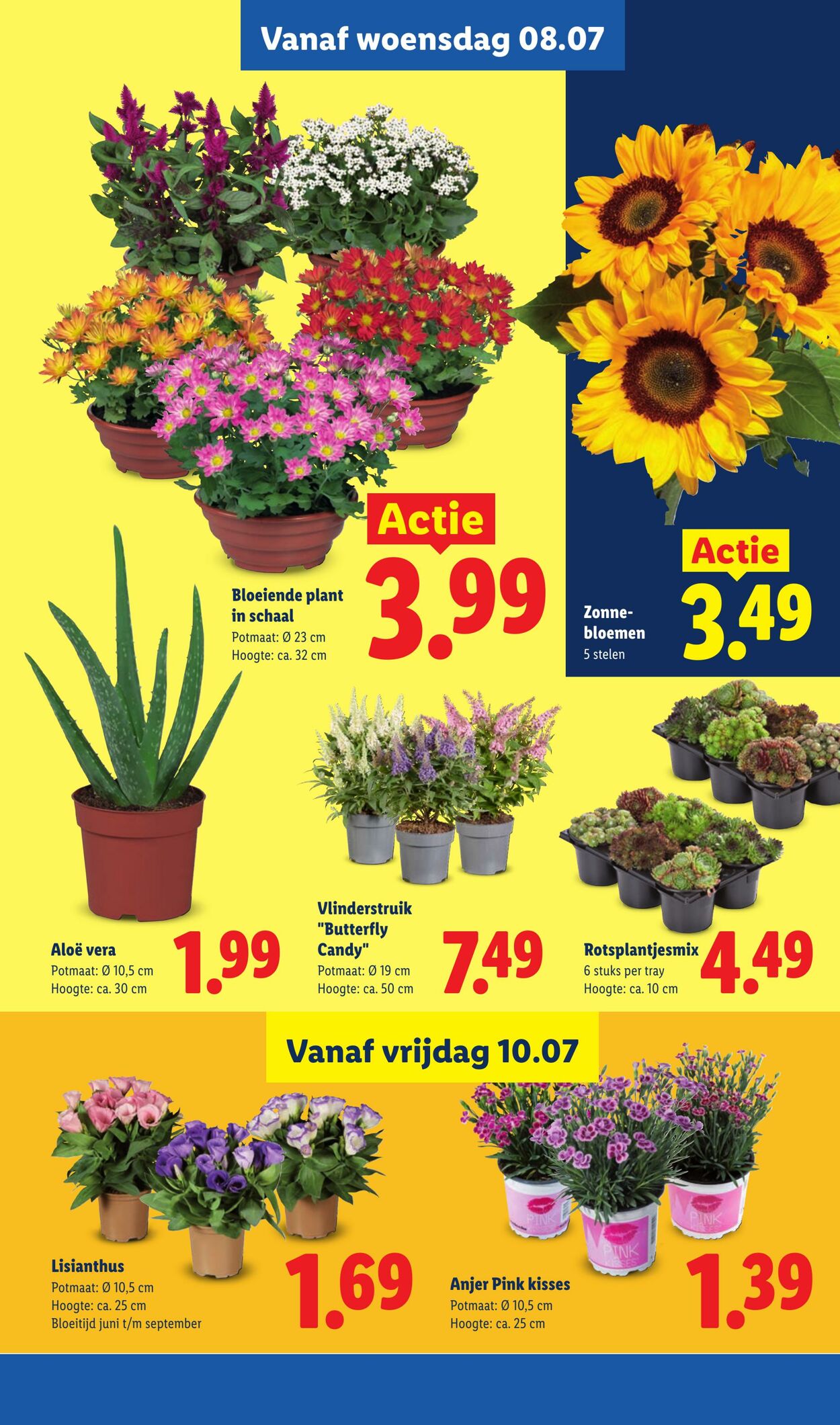 Folder Lidl 06.07.2026 - 12.07.2026