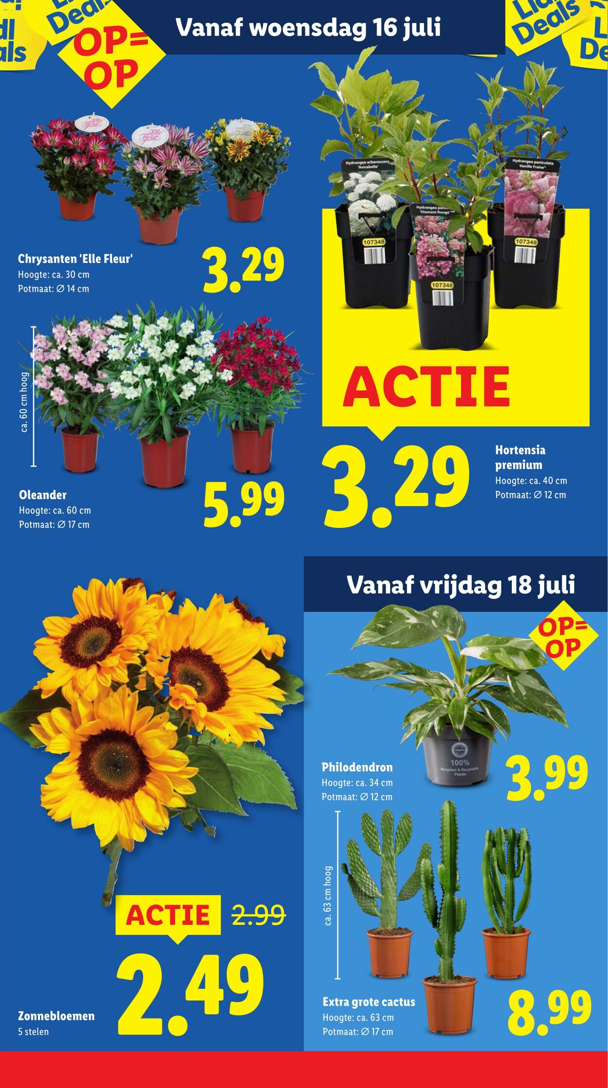 Folder Lidl 14.07.2025 - 20.07.2025