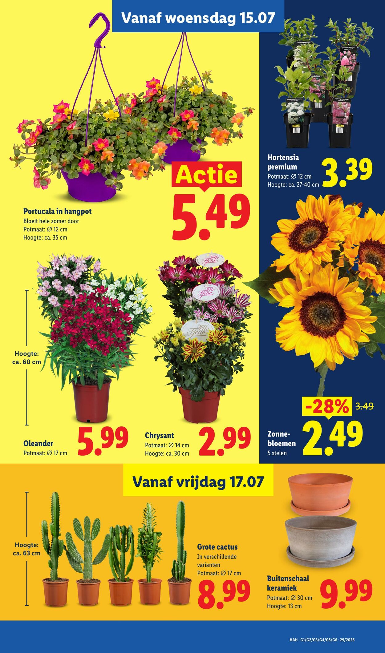 Folder Lidl 13.07.2026 - 19.07.2026