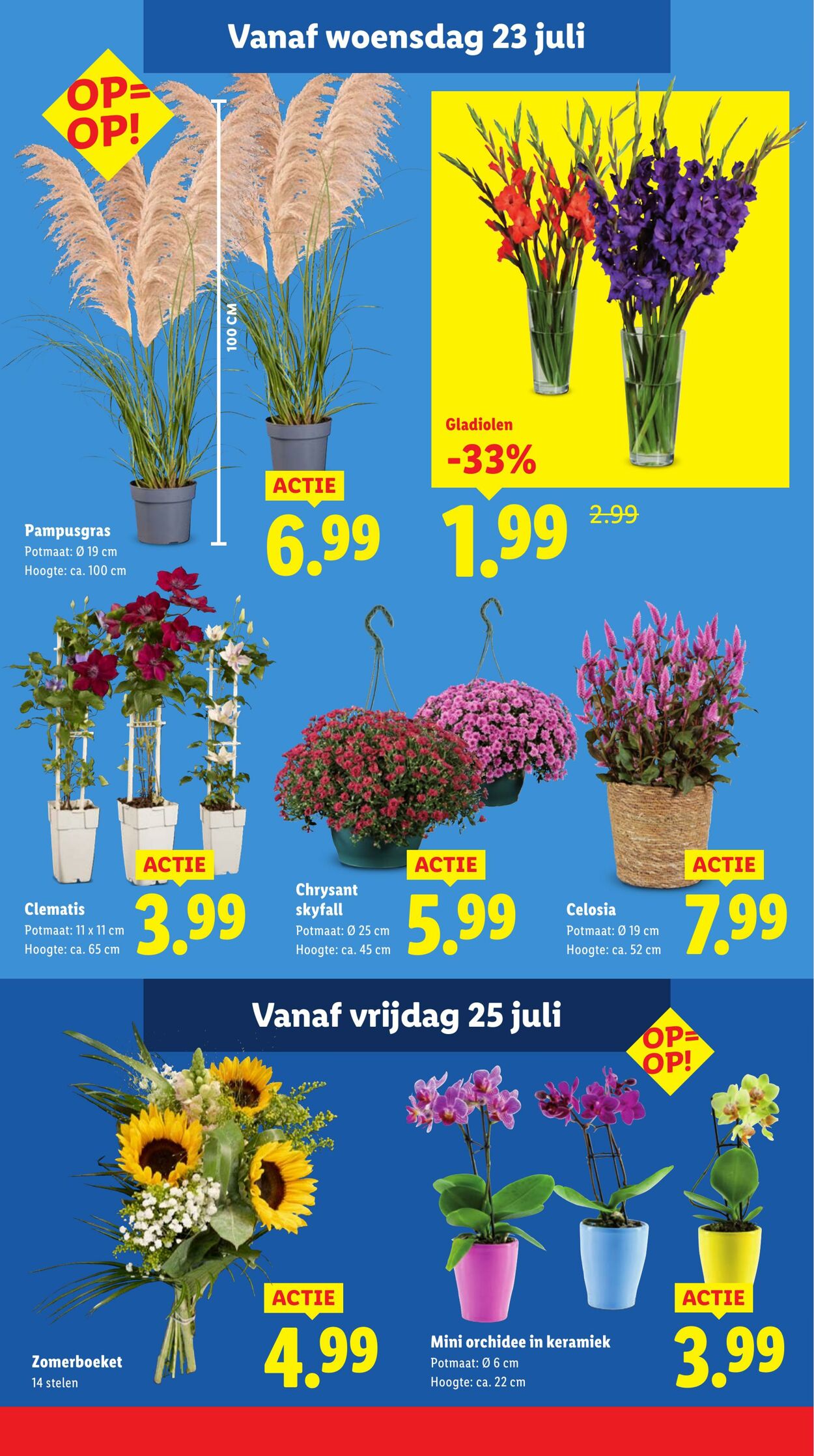 Folder Lidl 21.07.2025 - 27.07.2025