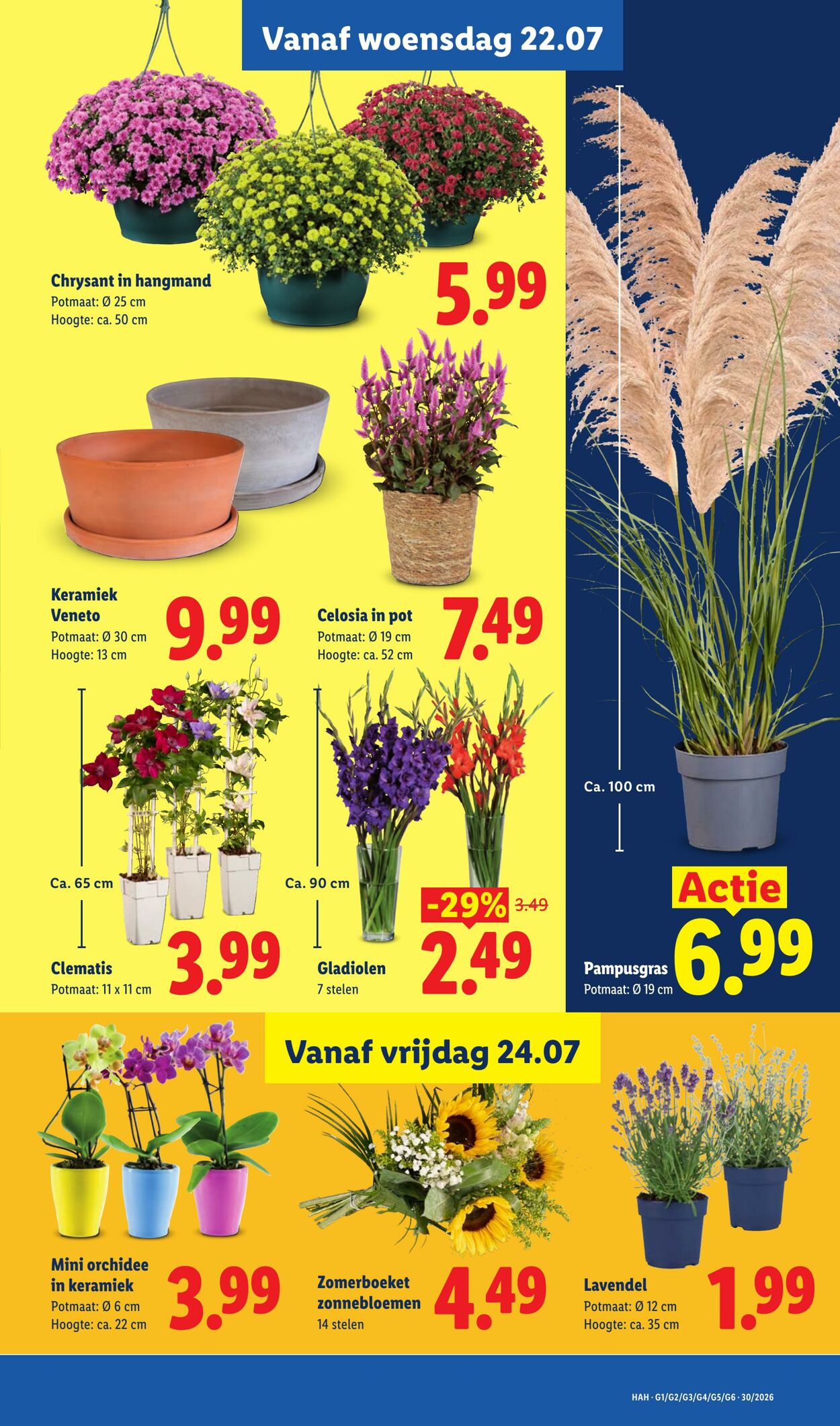 Folder Lidl 20.07.2026 - 26.07.2026