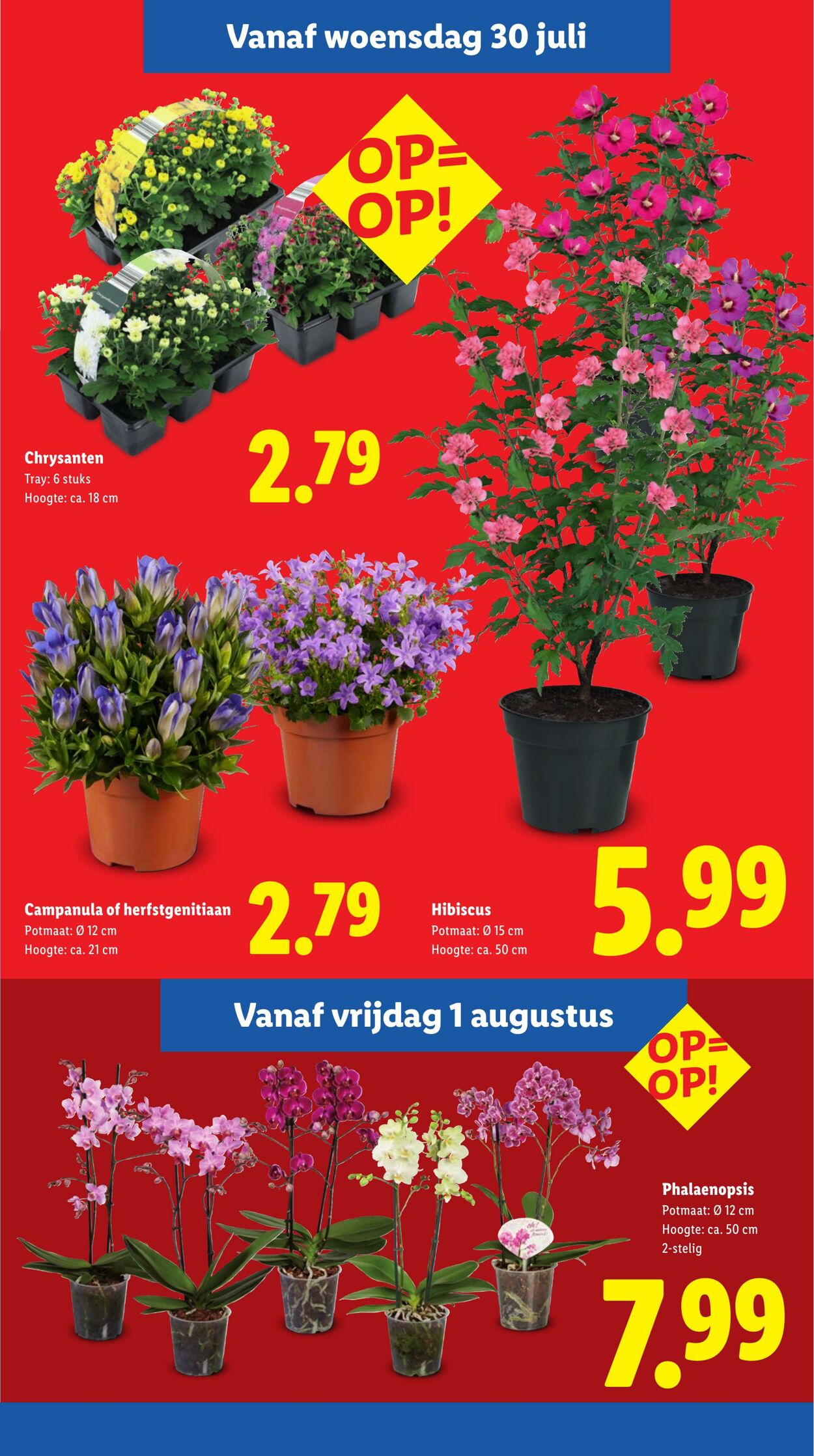 Folder Lidl 28.07.2025 - 03.08.2025