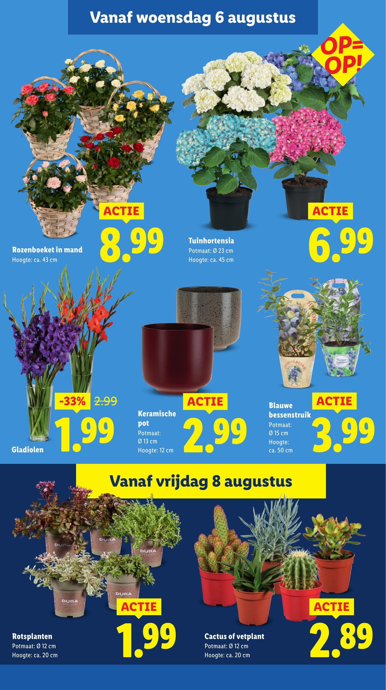 Folder Lidl 04.08.2025 - 10.08.2025