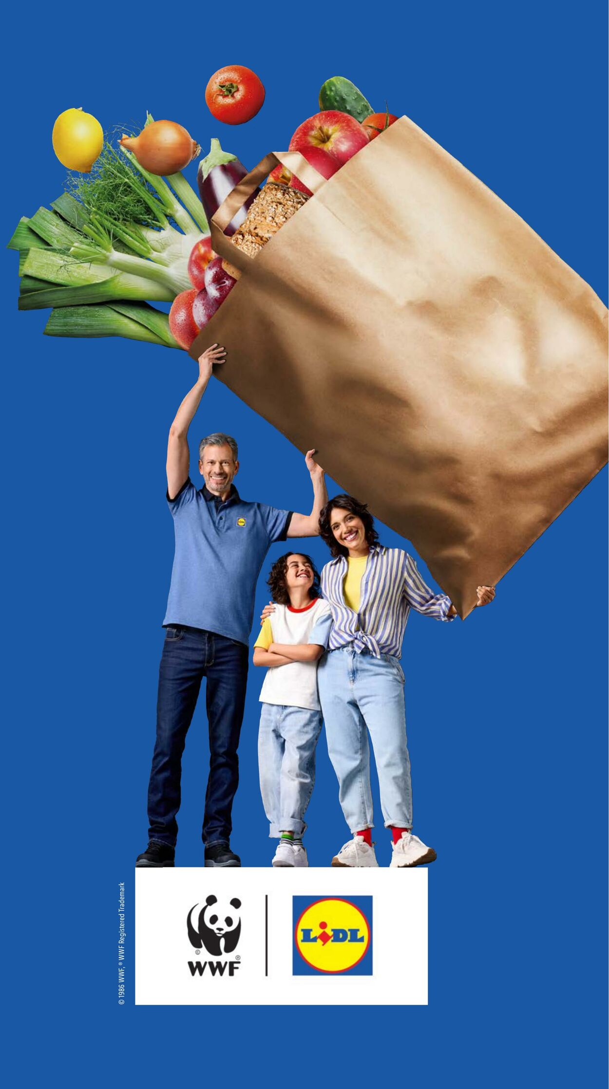 Folder Lidl 11.08.2025 - 17.08.2025