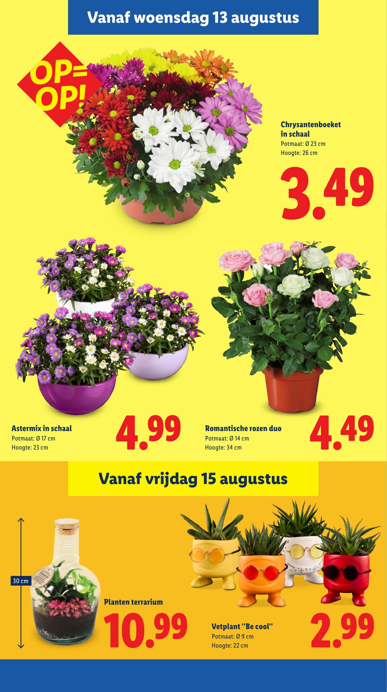 Folder Lidl 11.08.2025 - 17.08.2025