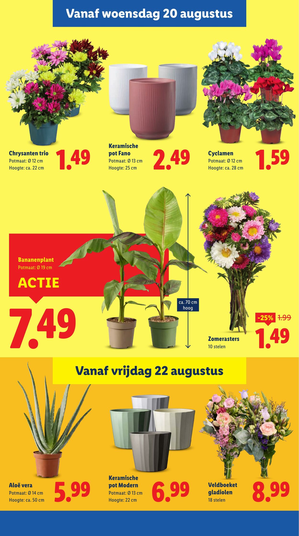 Folder Lidl 18.08.2025 - 24.08.2025