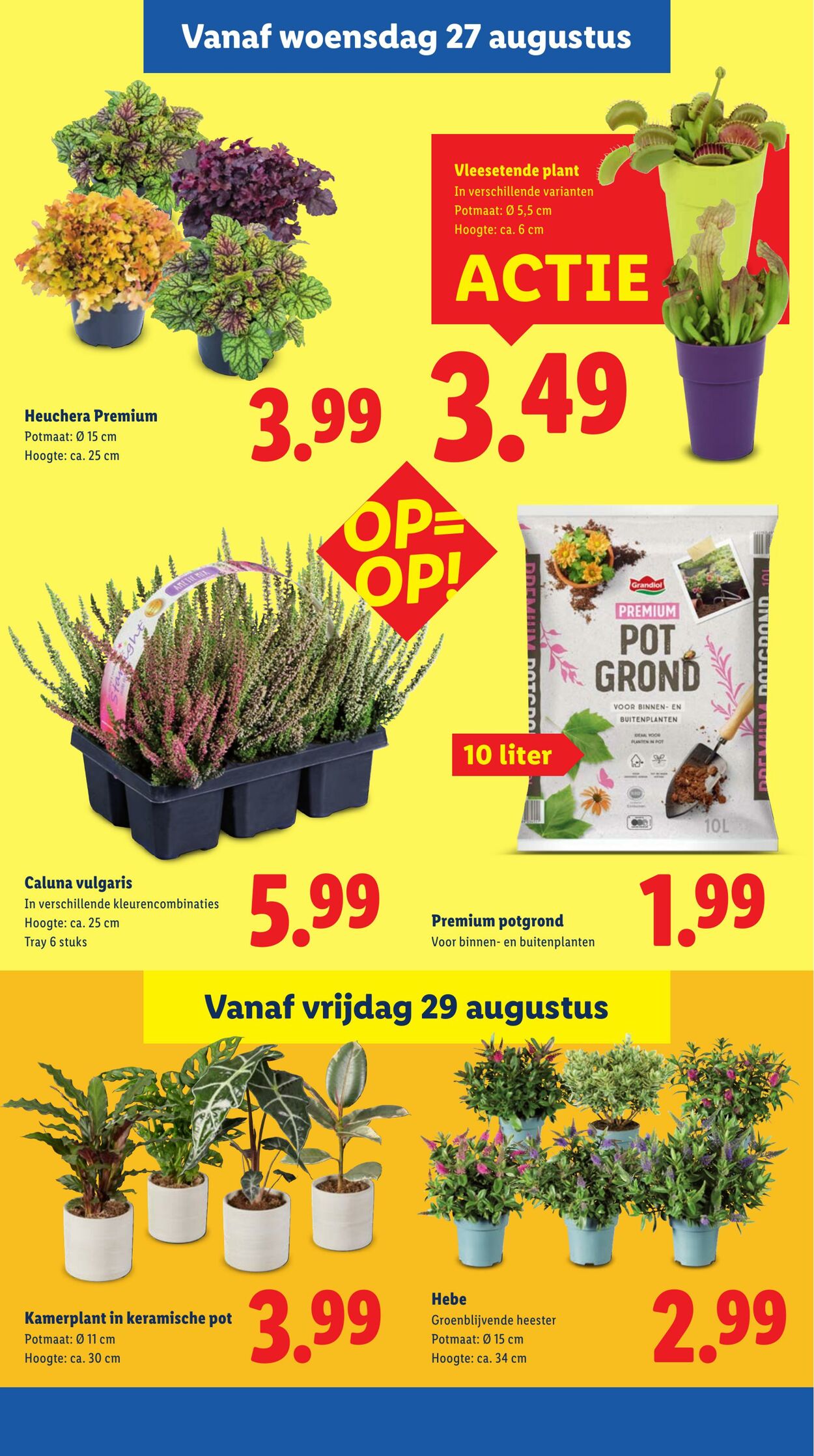 Folder Lidl 25.08.2025 - 31.08.2025