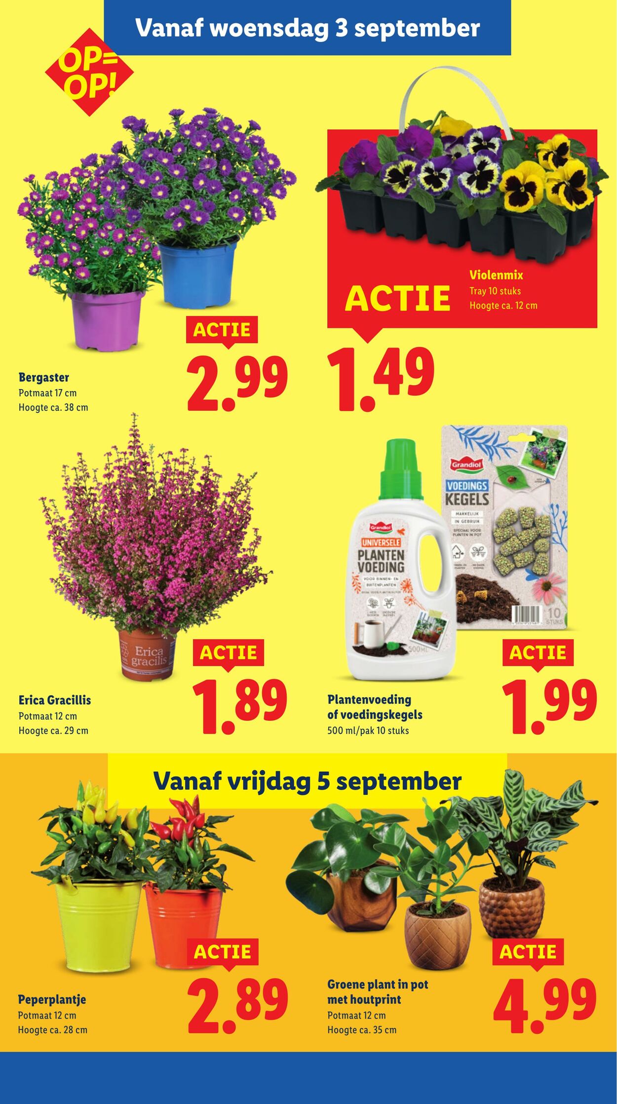 Folder Lidl 01.09.2025 - 07.09.2025
