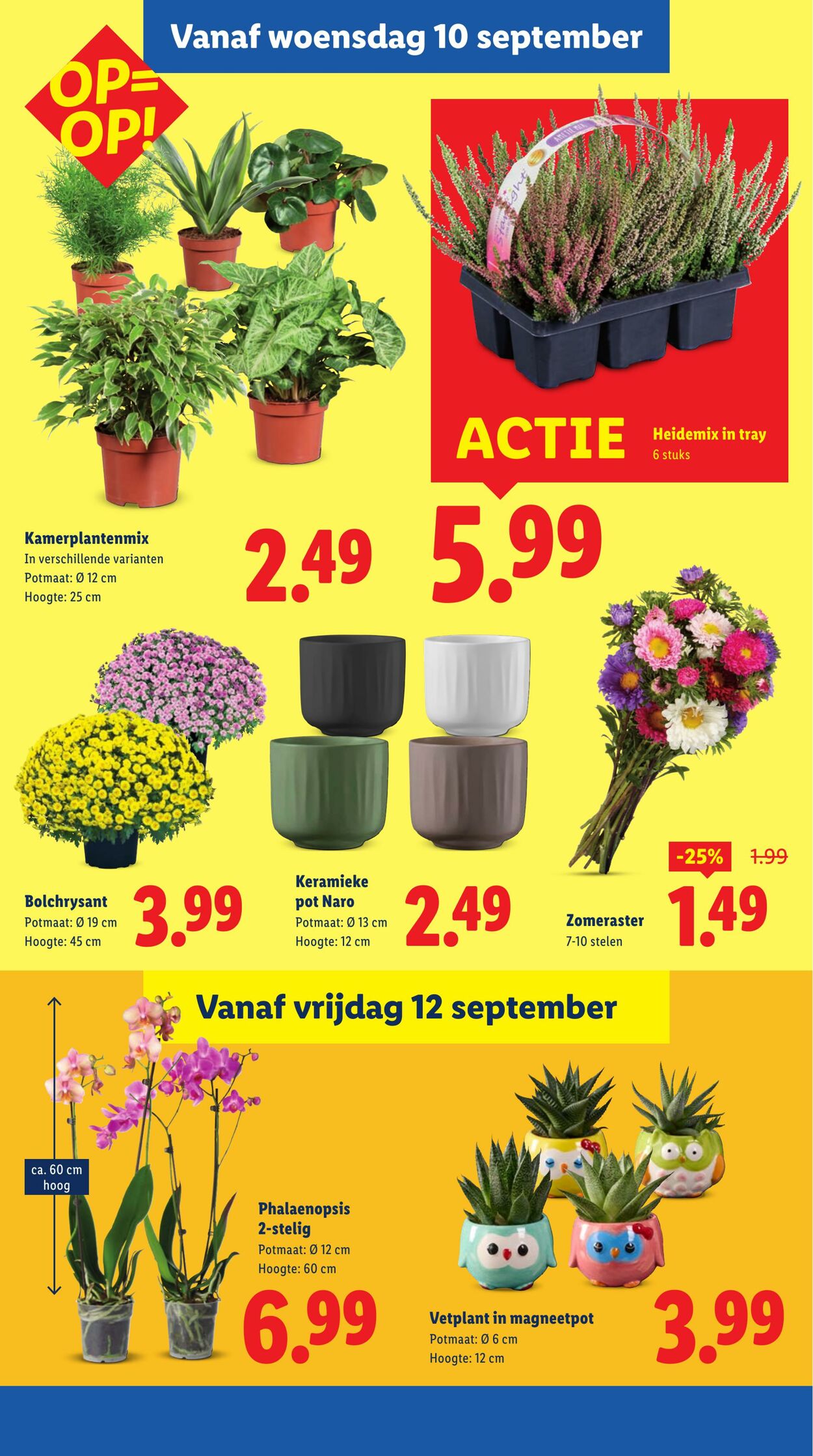 Folder Lidl 08.09.2025 - 14.09.2025