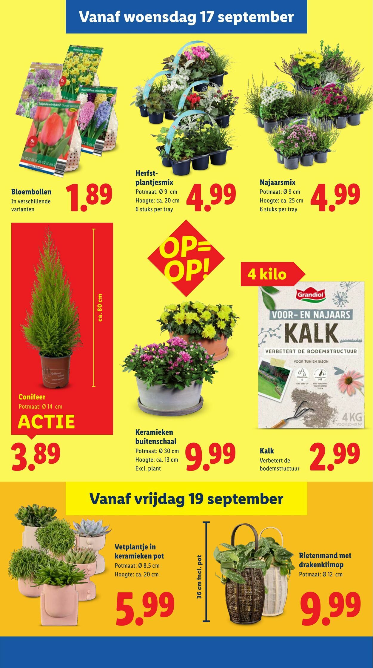 Folder Lidl 15.09.2025 - 21.09.2025