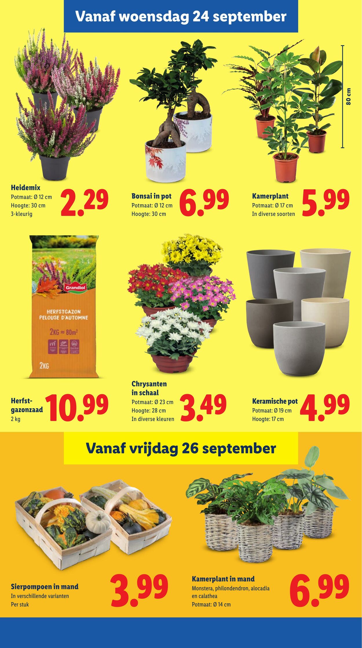 Folder Lidl 22.09.2025 - 28.09.2025