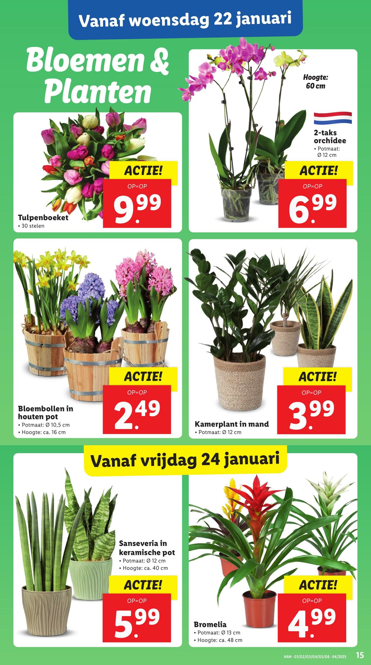 Folder Lidl 20.01.2025 - 26.01.2025