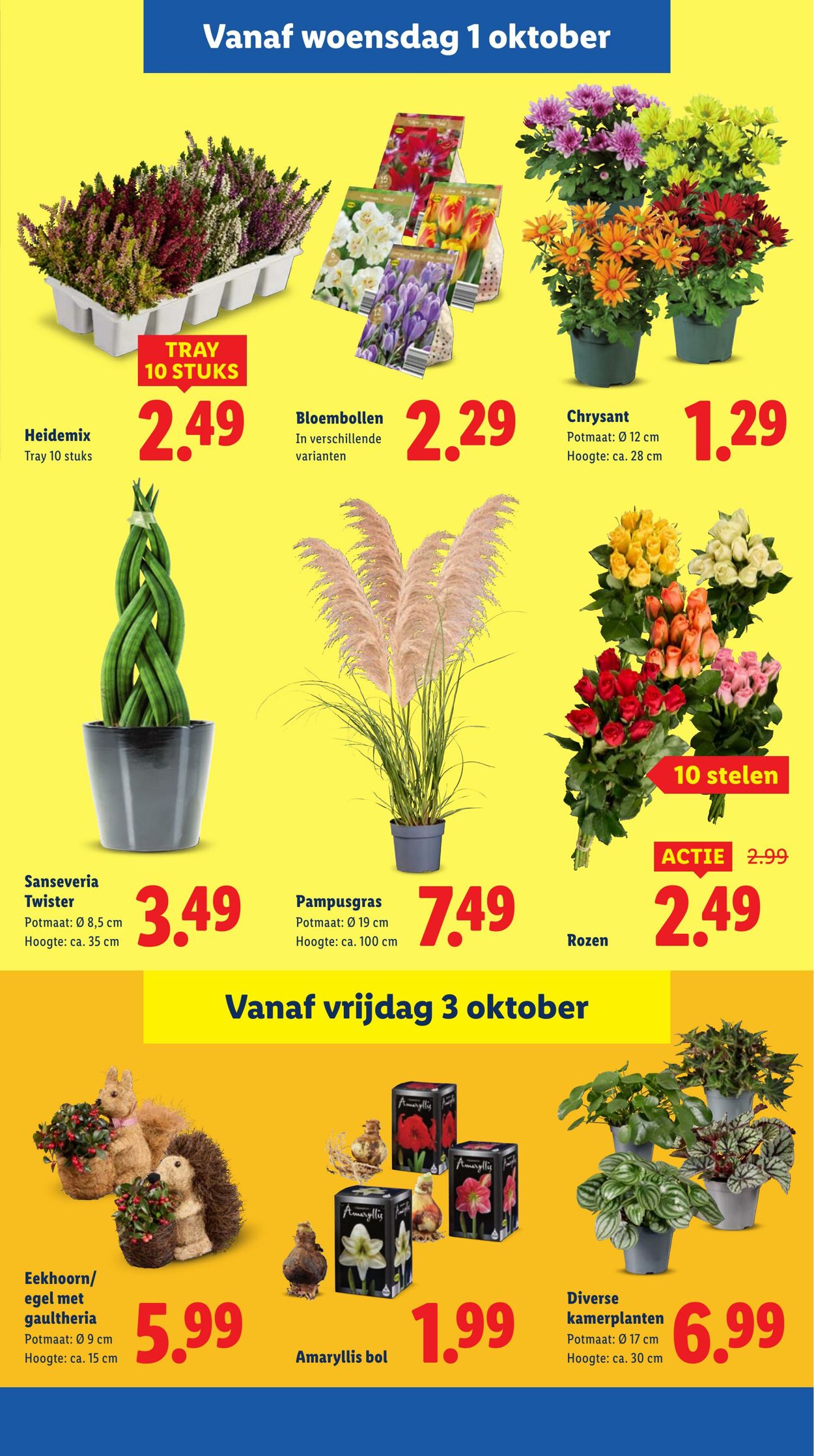 Folder Lidl 29.09.2025 - 05.10.2025