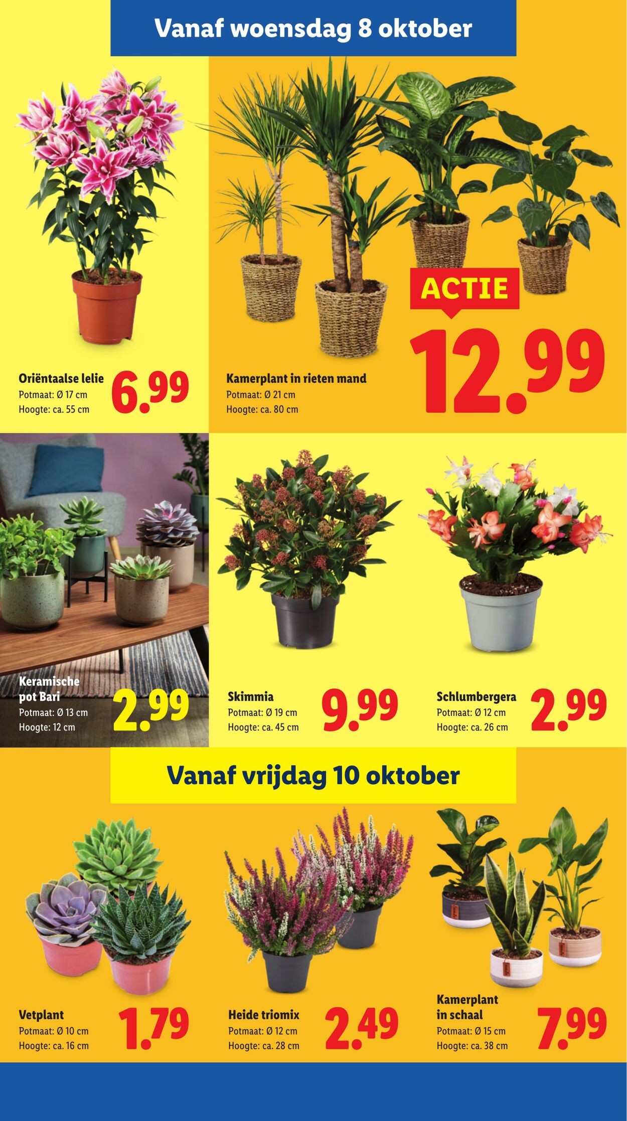 Folder Lidl 06.10.2025 - 12.10.2025