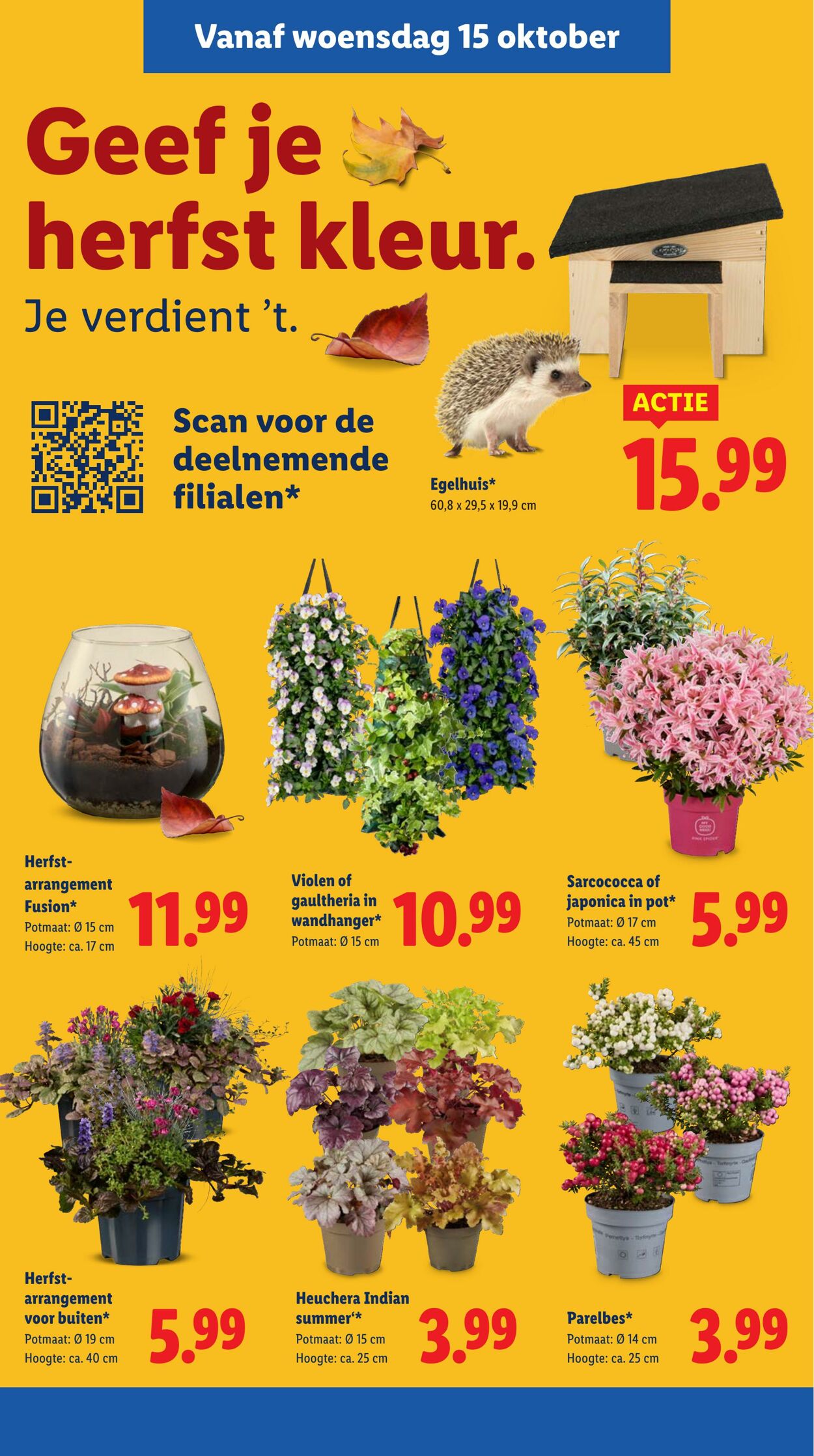 Folder Lidl 13.10.2025 - 19.10.2025