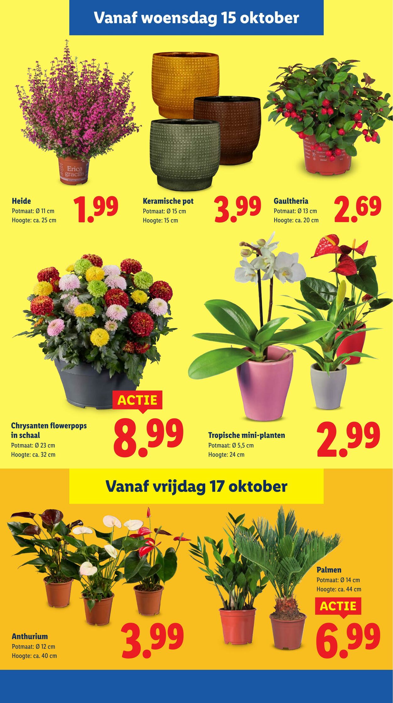 Folder Lidl 13.10.2025 - 19.10.2025