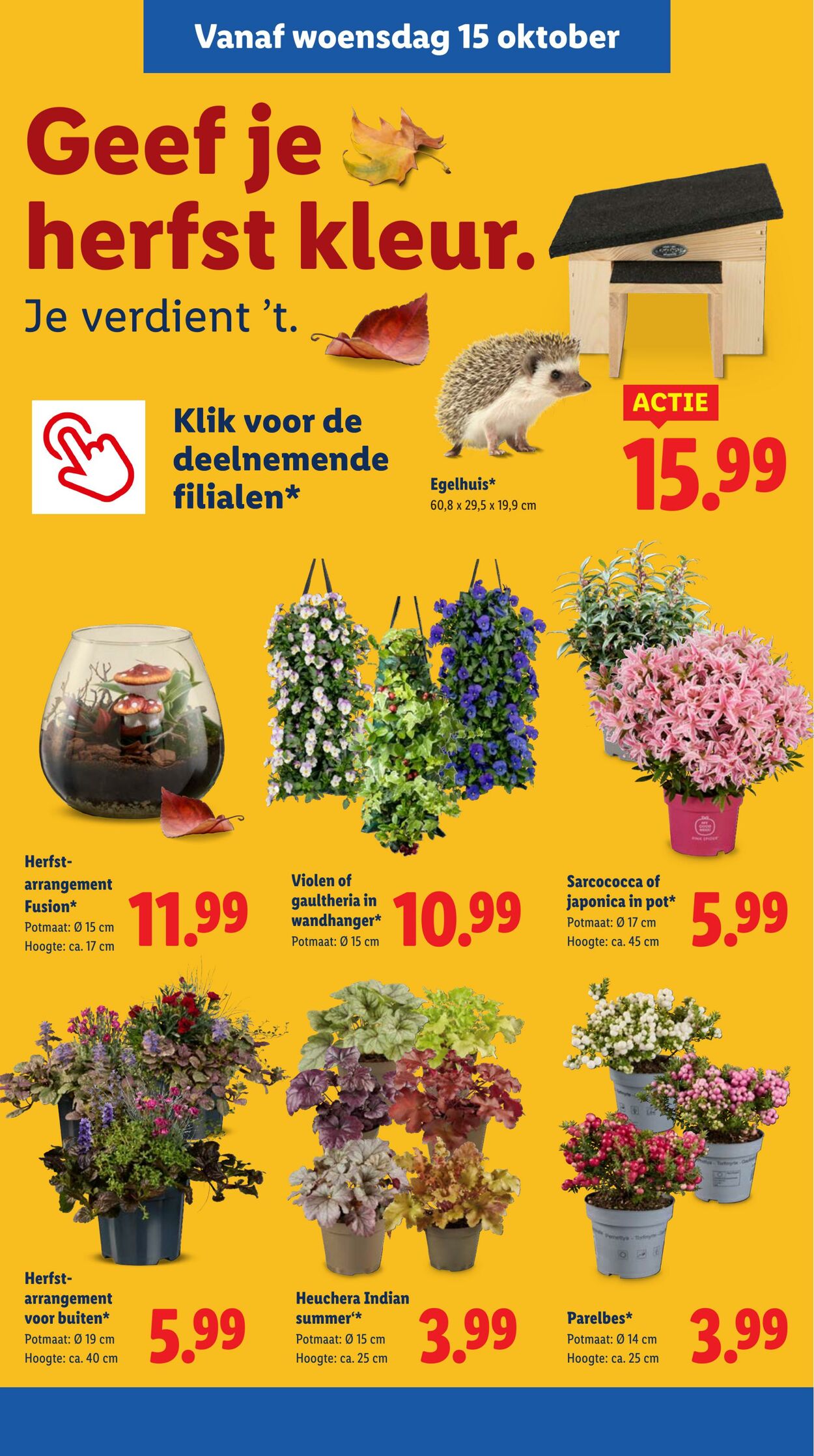 Folder Lidl 13.10.2025 - 19.10.2025