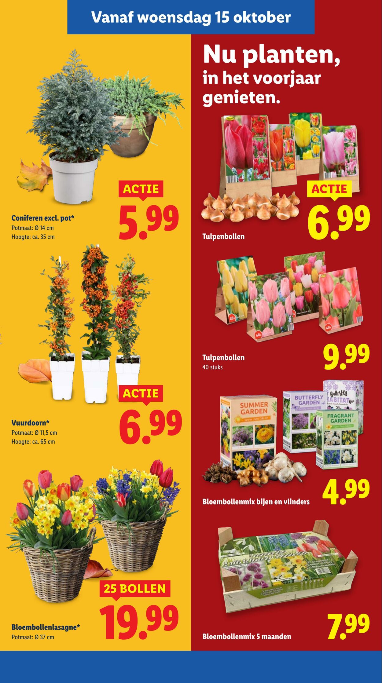 Folder Lidl 13.10.2025 - 19.10.2025