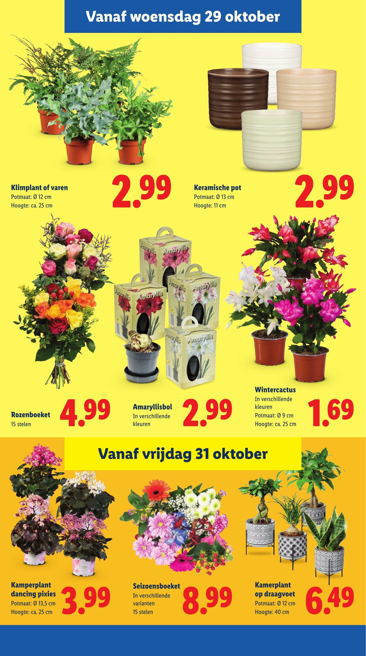 Folder Lidl 27.10.2025 - 02.11.2025
