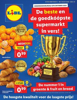 Folder Lidl 08.04.2024 - 14.04.2024