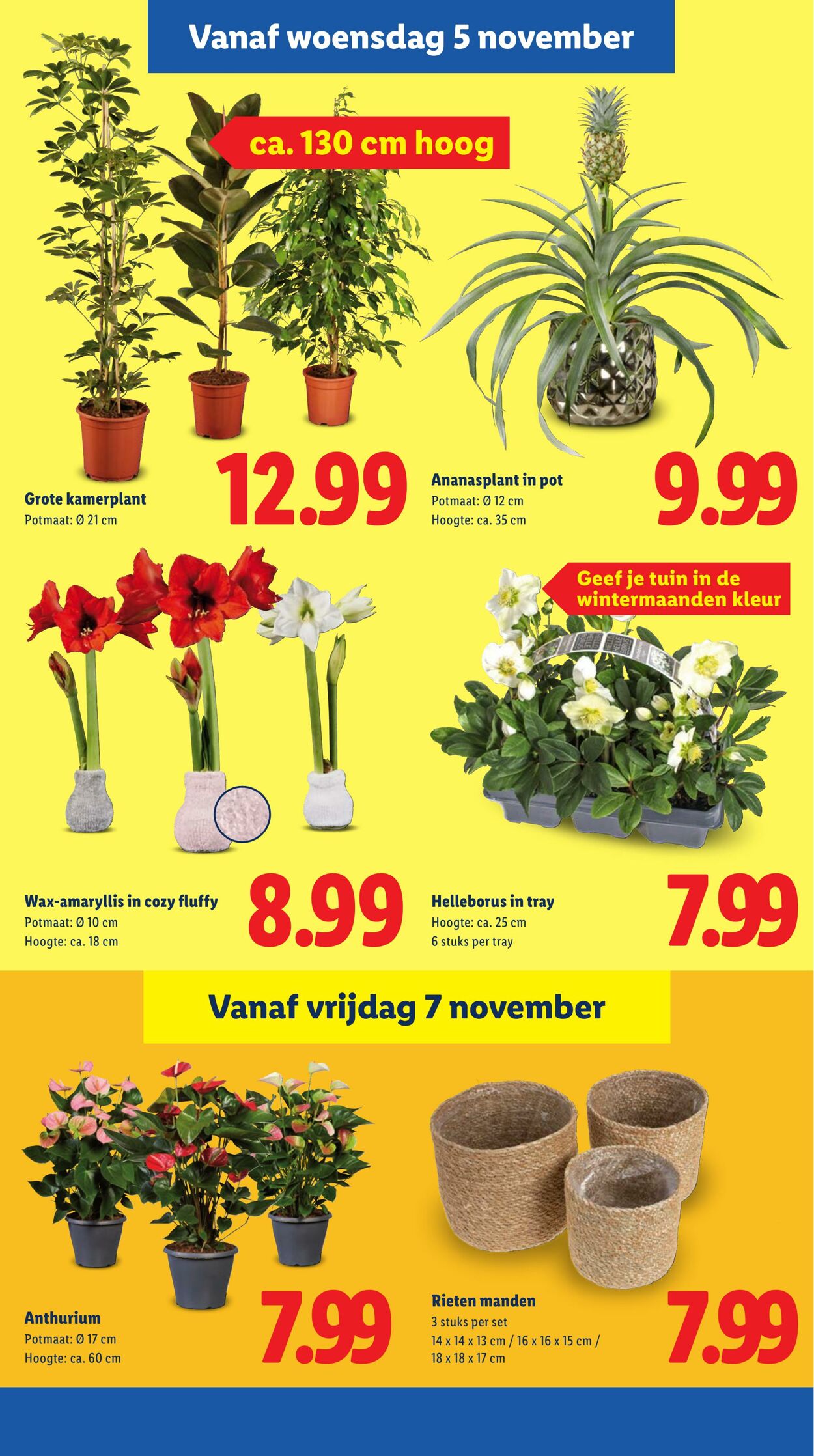 Folder Lidl 03.11.2025 - 09.11.2025