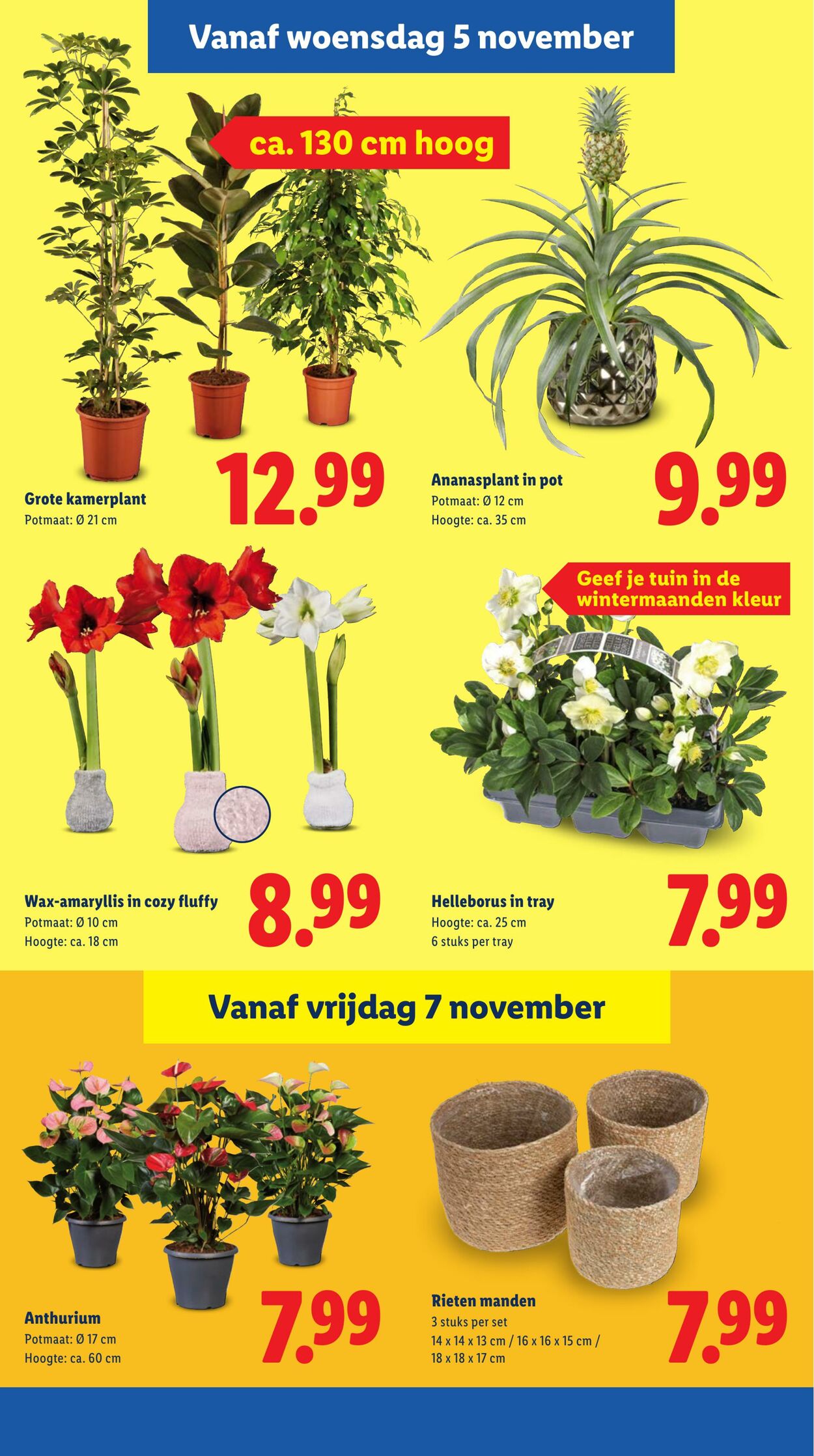 Folder Lidl 03.11.2025 - 09.11.2025