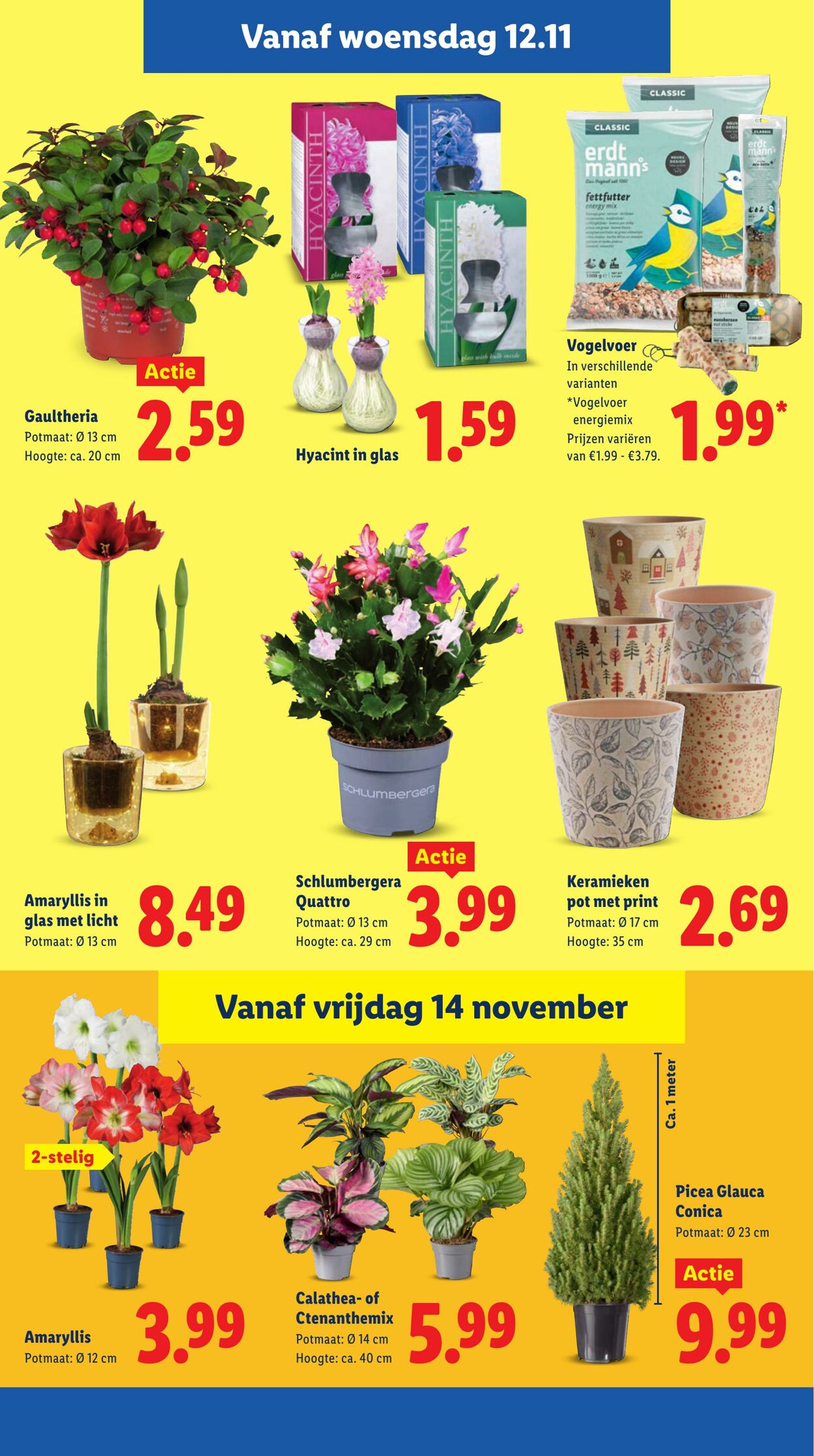 Folder Lidl 10.11.2025 - 16.11.2025