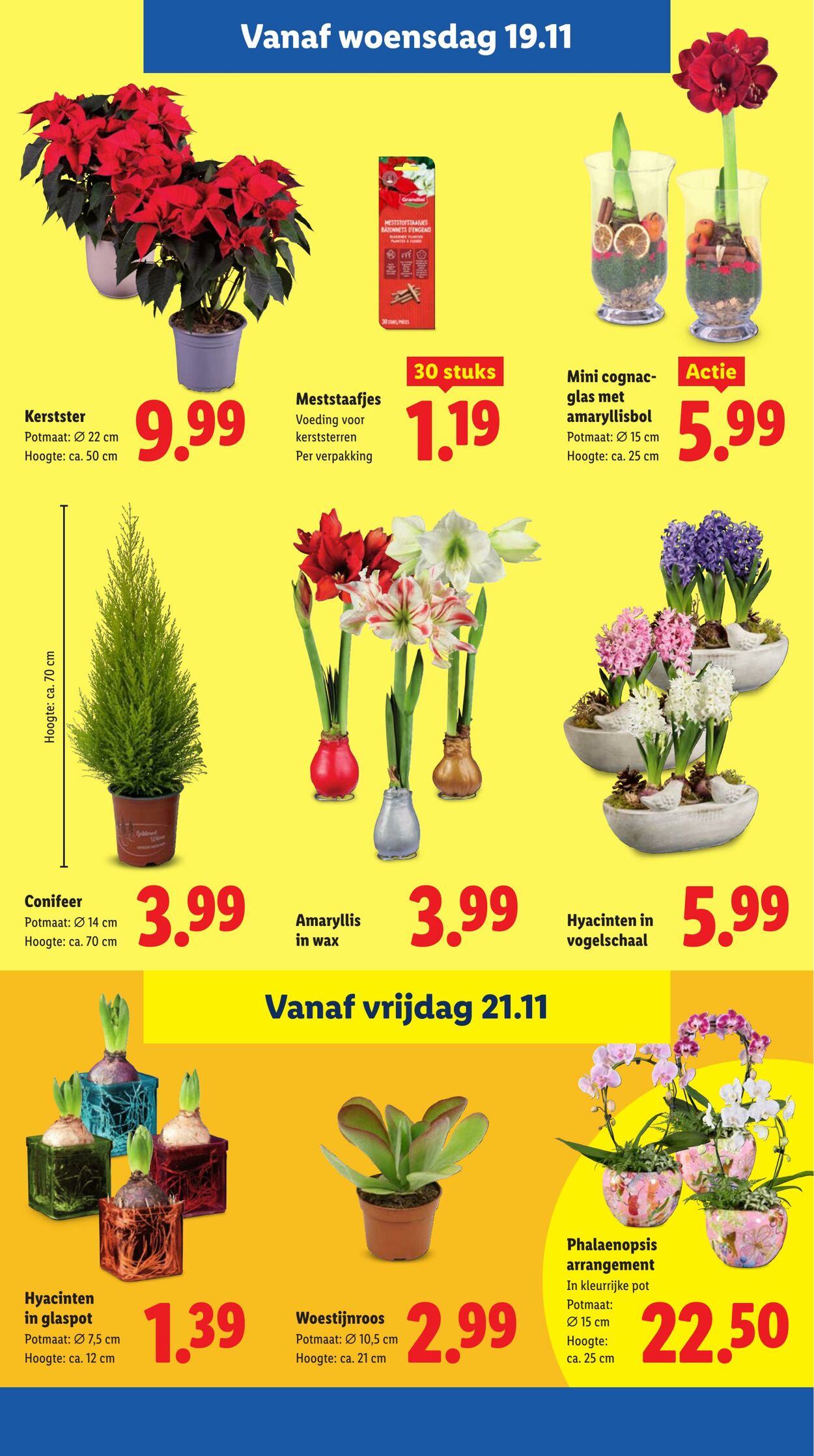 Folder Lidl 17.11.2025 - 23.11.2025