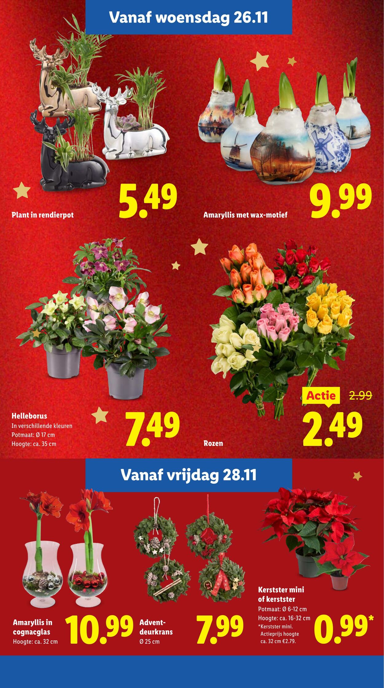 Folder Lidl 24.11.2025 - 30.11.2025