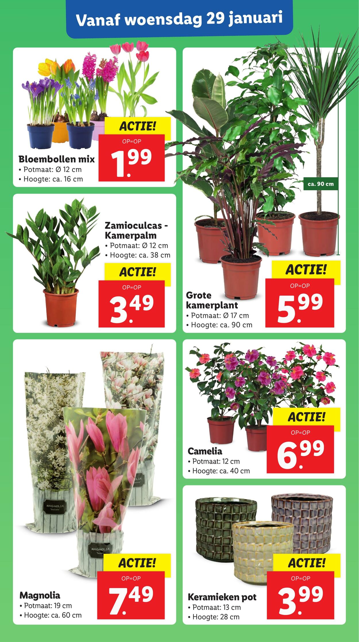 Folder Lidl 27.01.2025 - 02.02.2025