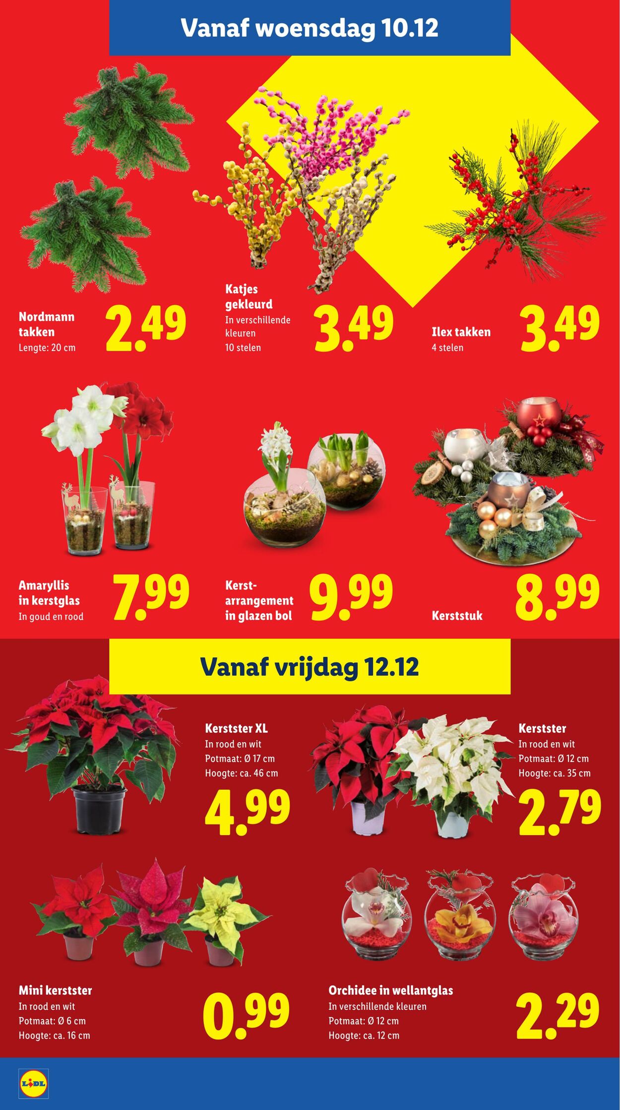 Folder Lidl 08.12.2025 - 14.12.2025