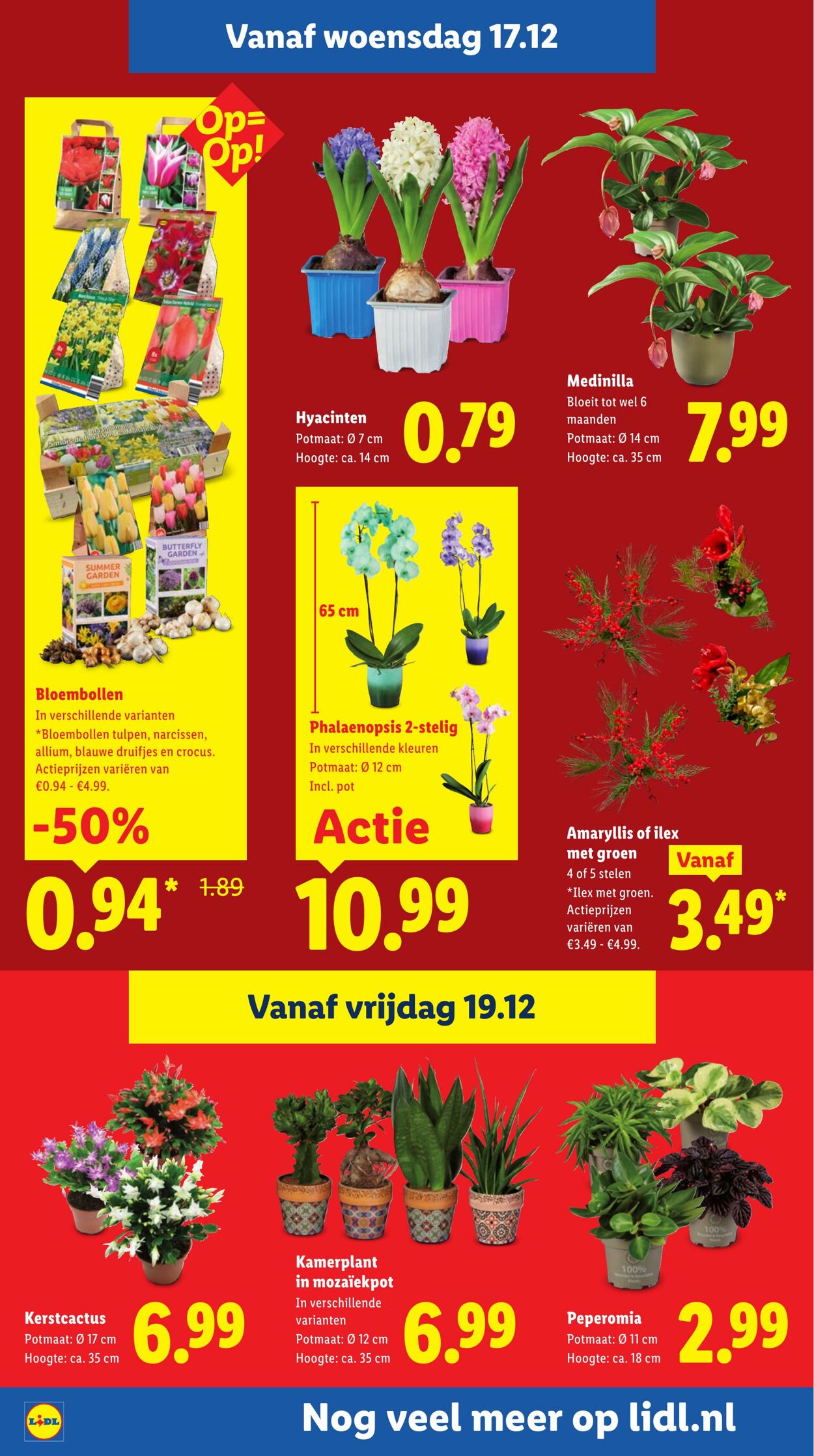 Folder Lidl 11.12.2025 - 21.12.2025
