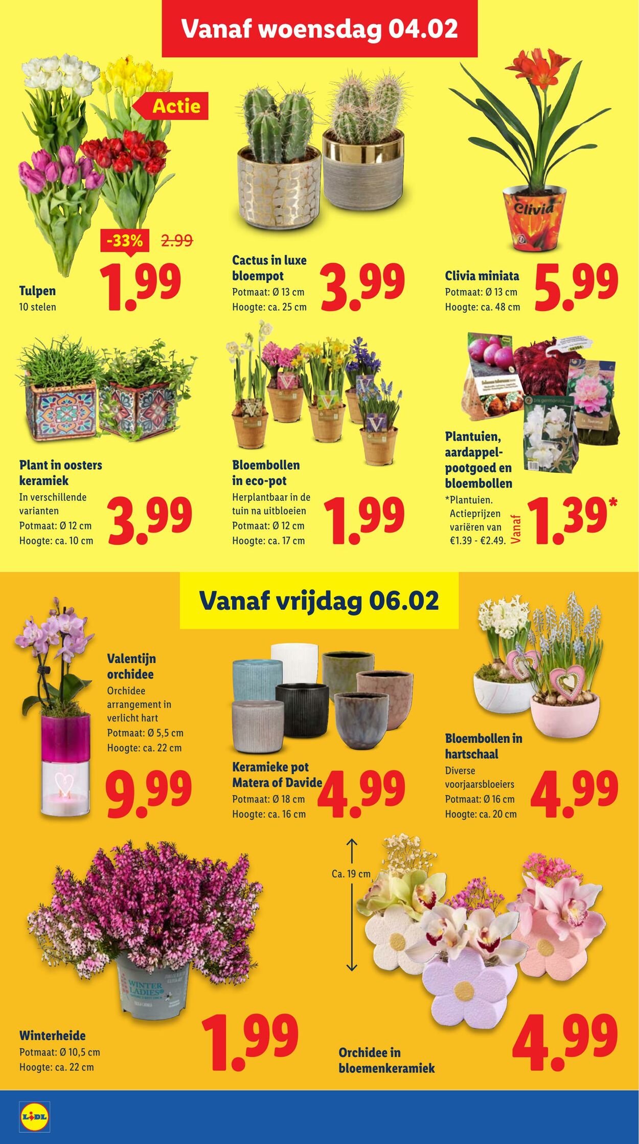 Folder Lidl 02.02.2026 - 08.02.2026