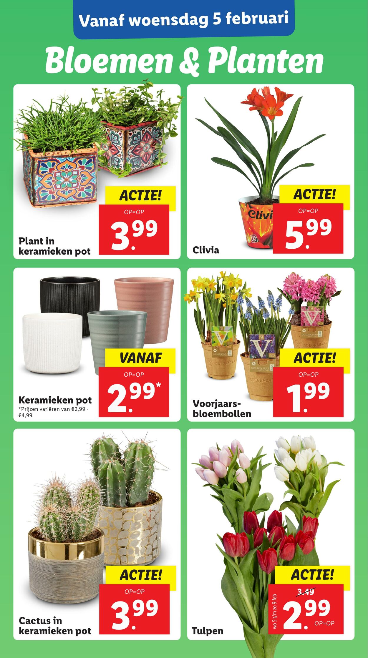 Folder Lidl 03.02.2025 - 09.02.2025